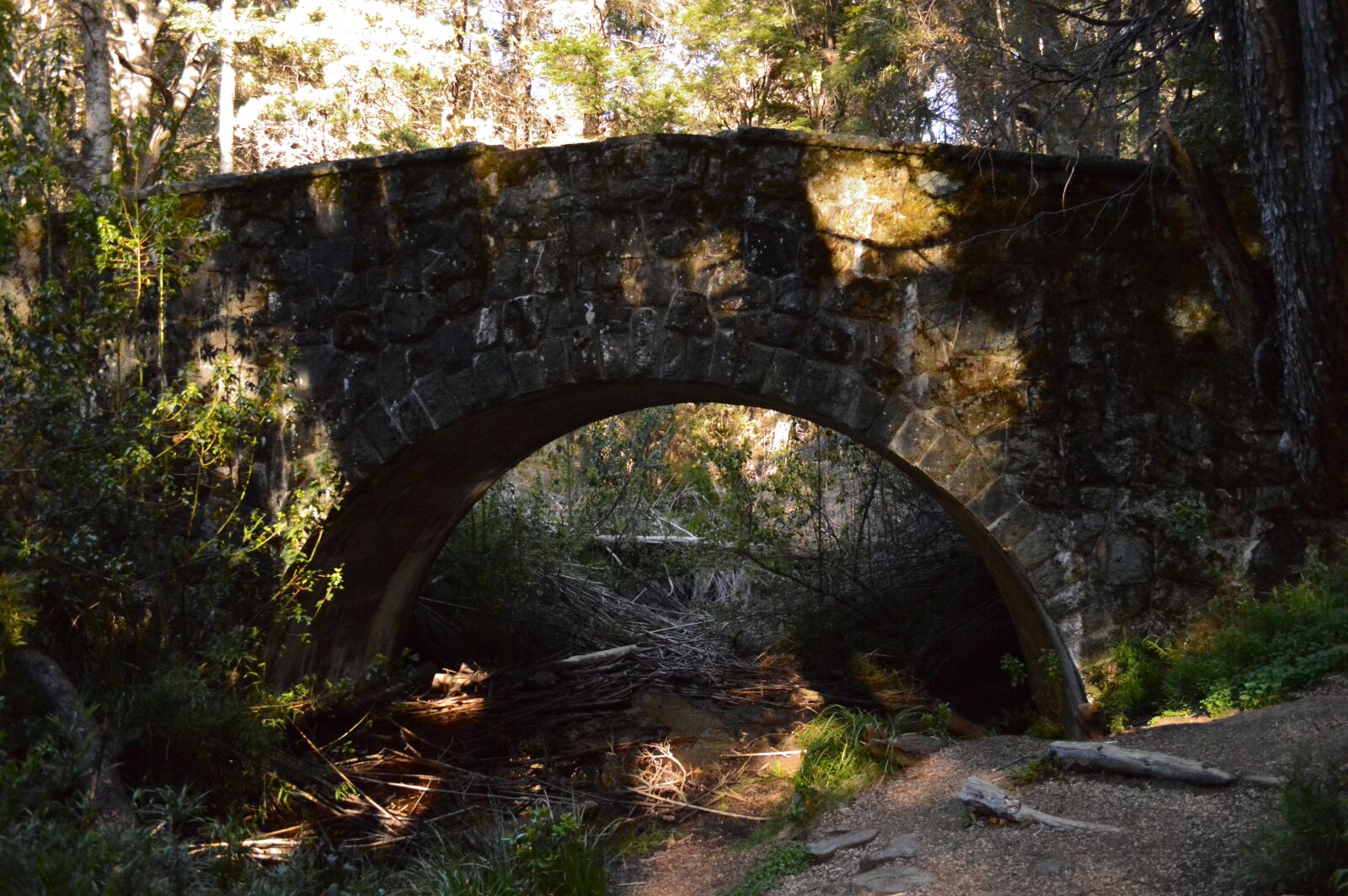Nikon D3200 sample photo. "Bridge, shadows, forest" photography