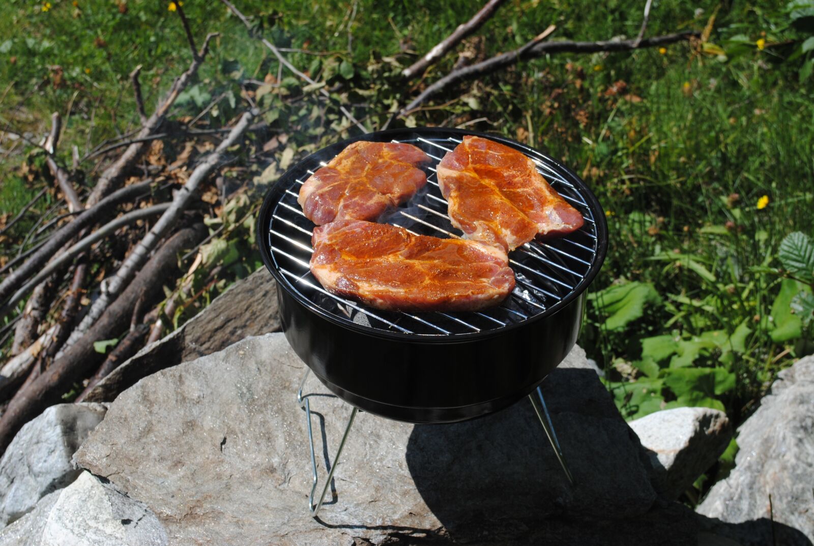 Nikon D3000 sample photo. Grill, grilling, summer photography