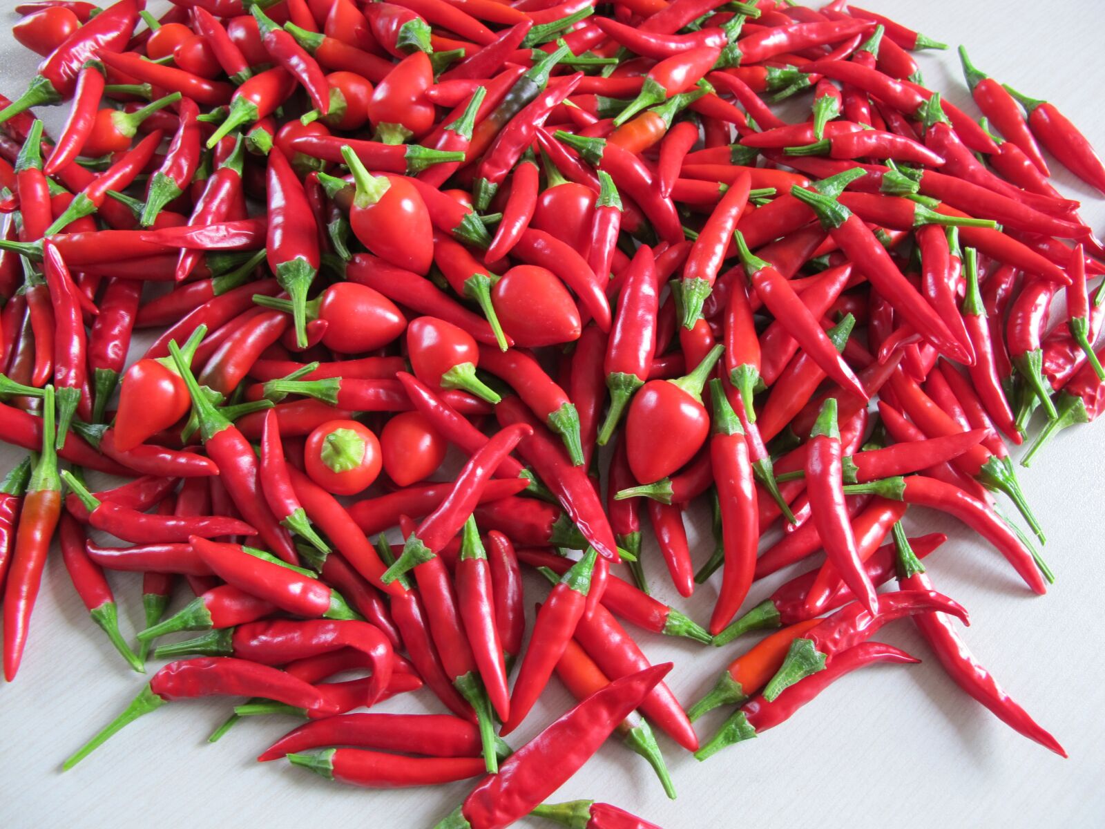 Canon PowerShot G11 sample photo. Red pepper, food, spices photography