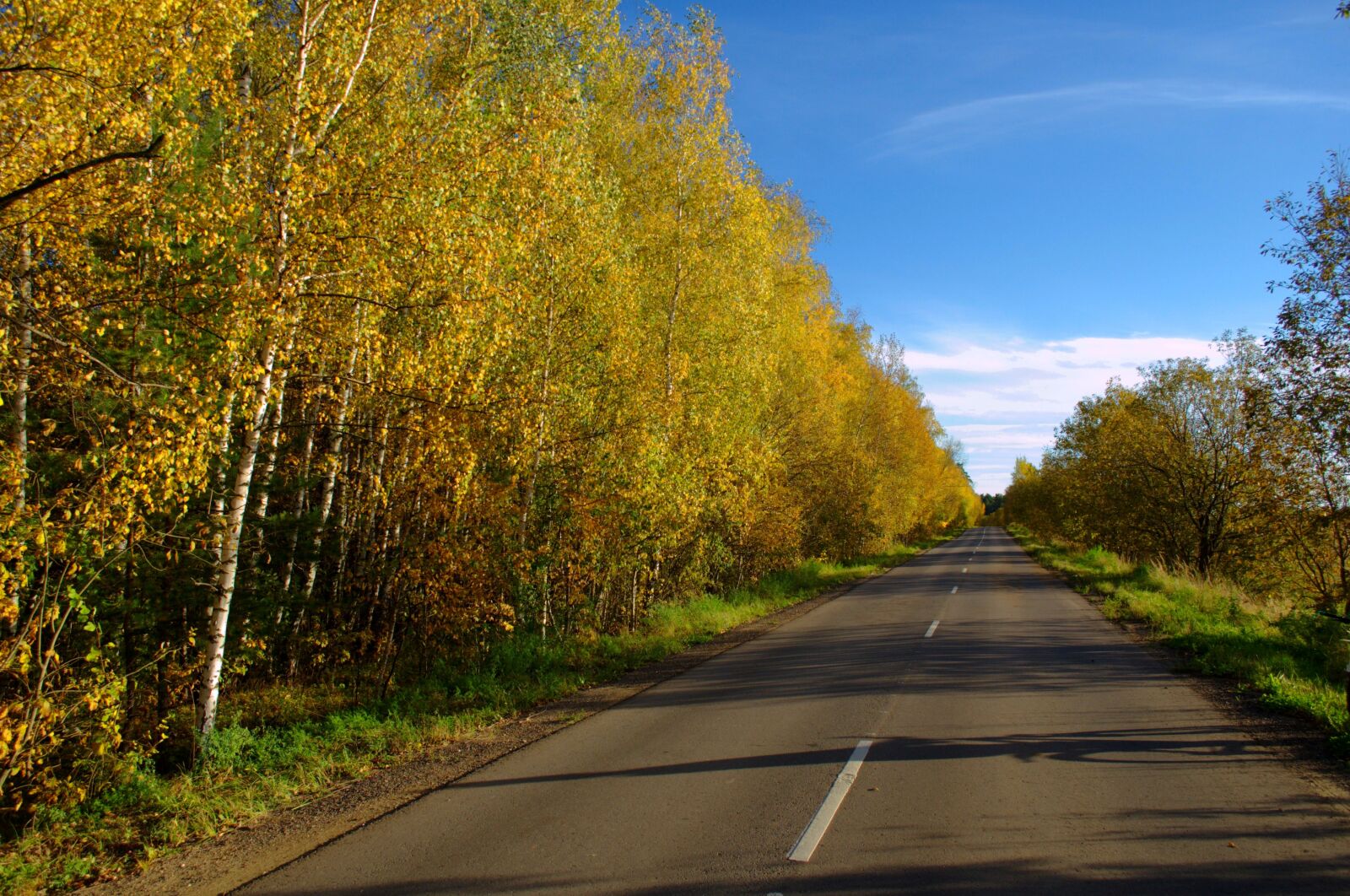 Nikon D3100 sample photo. Road, asphalt, transport photography