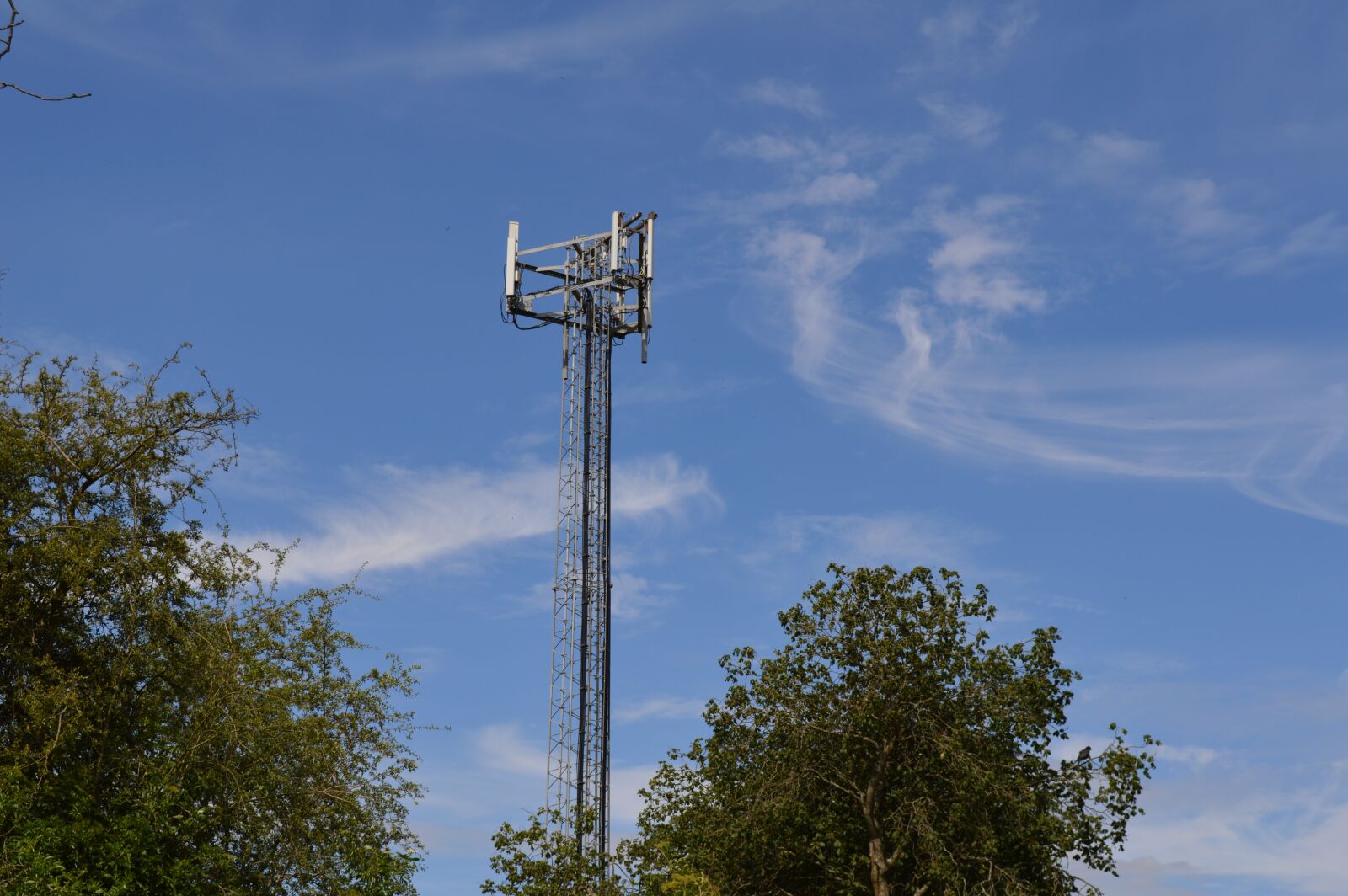 Nikon D3200 sample photo. Sky, ariel, blue photography