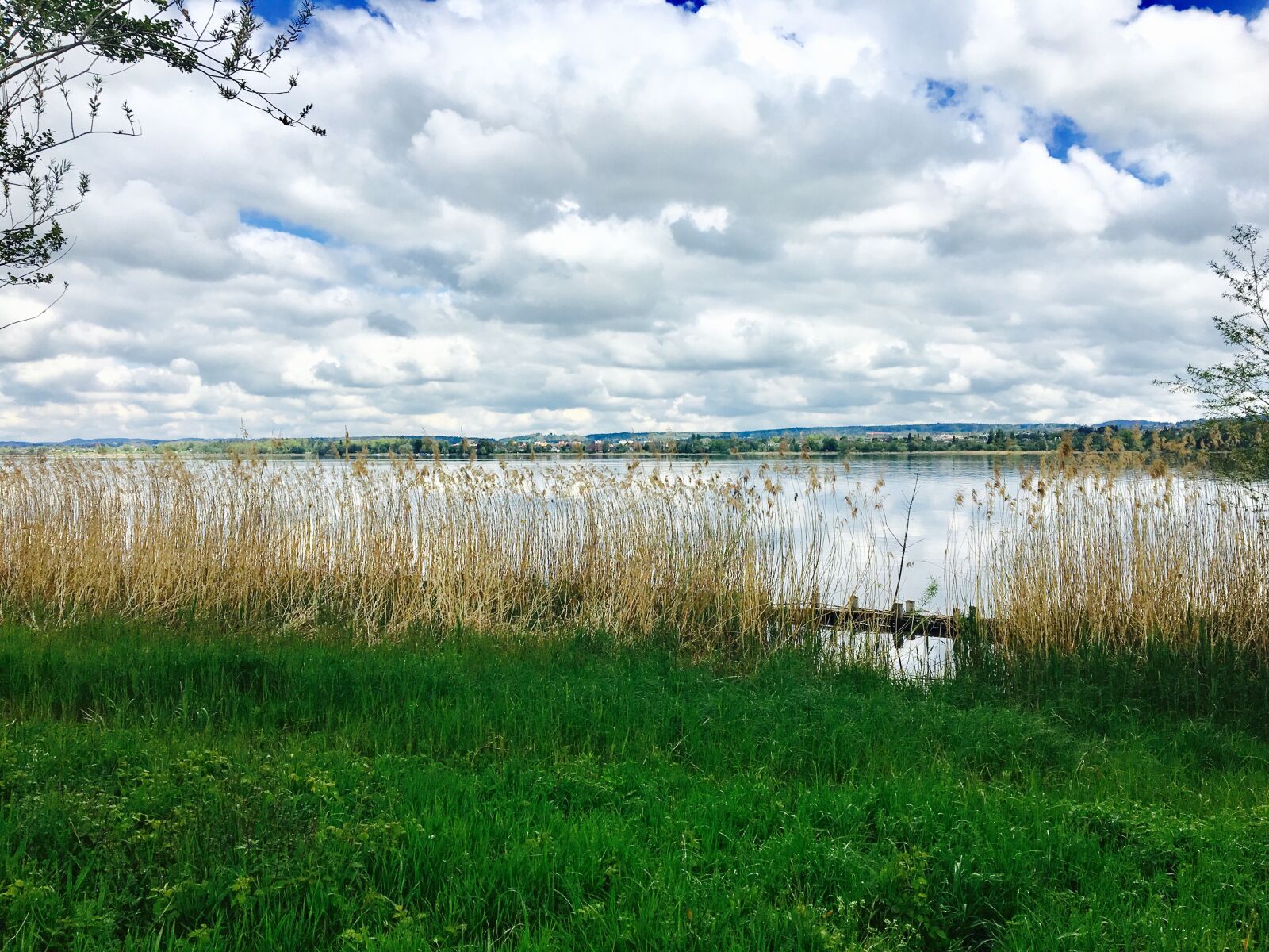 Apple iPhone 6s sample photo. Lake, zurich, canton photography