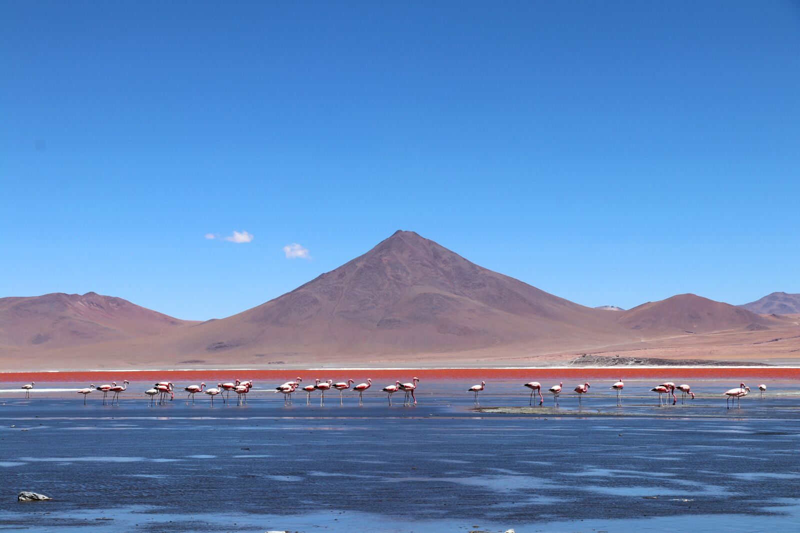 Canon EOS 80D sample photo. Bolivia, vacations, road trip photography