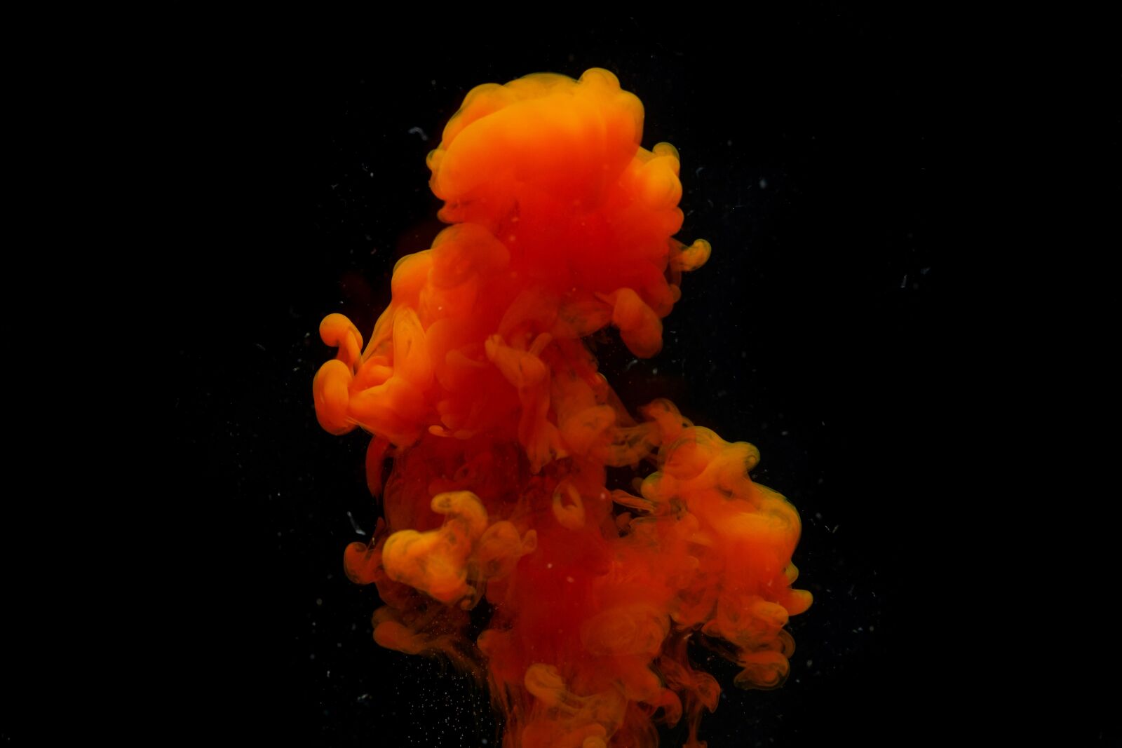 Sigma 85mm F1.4 DG HSM Art sample photo. Abstract, ink, water photography