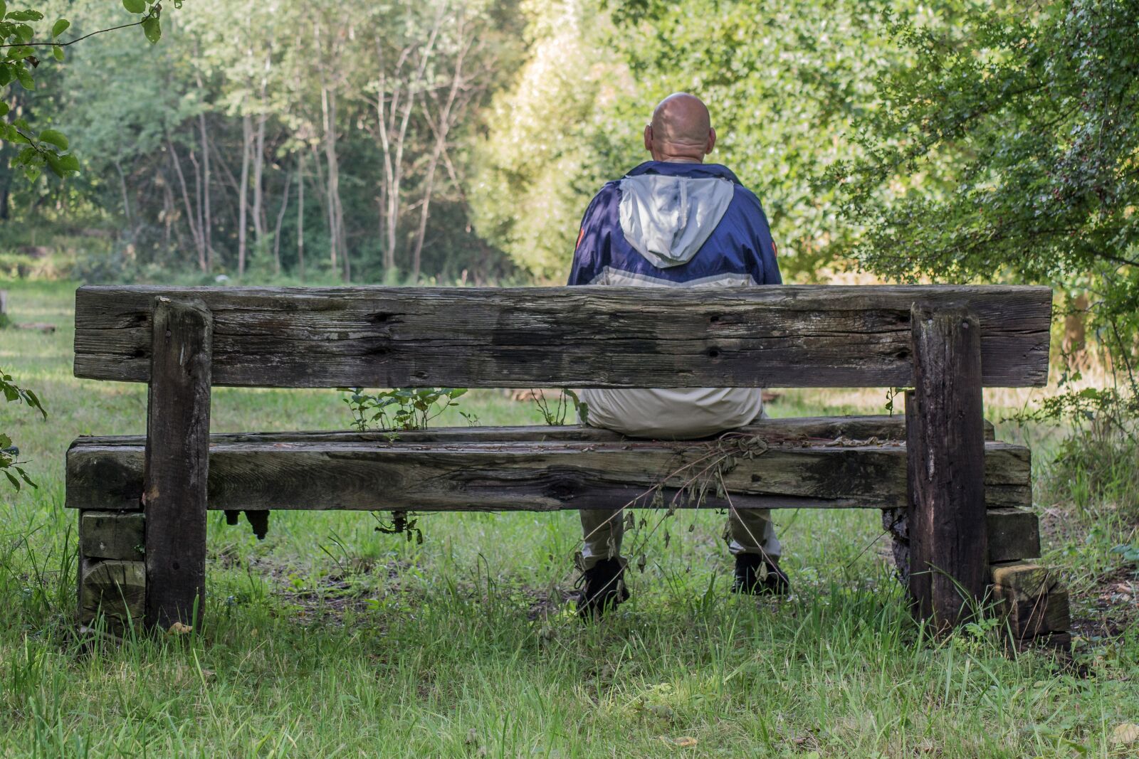 Nikon D3100 sample photo. Bank, rustic, wood photography