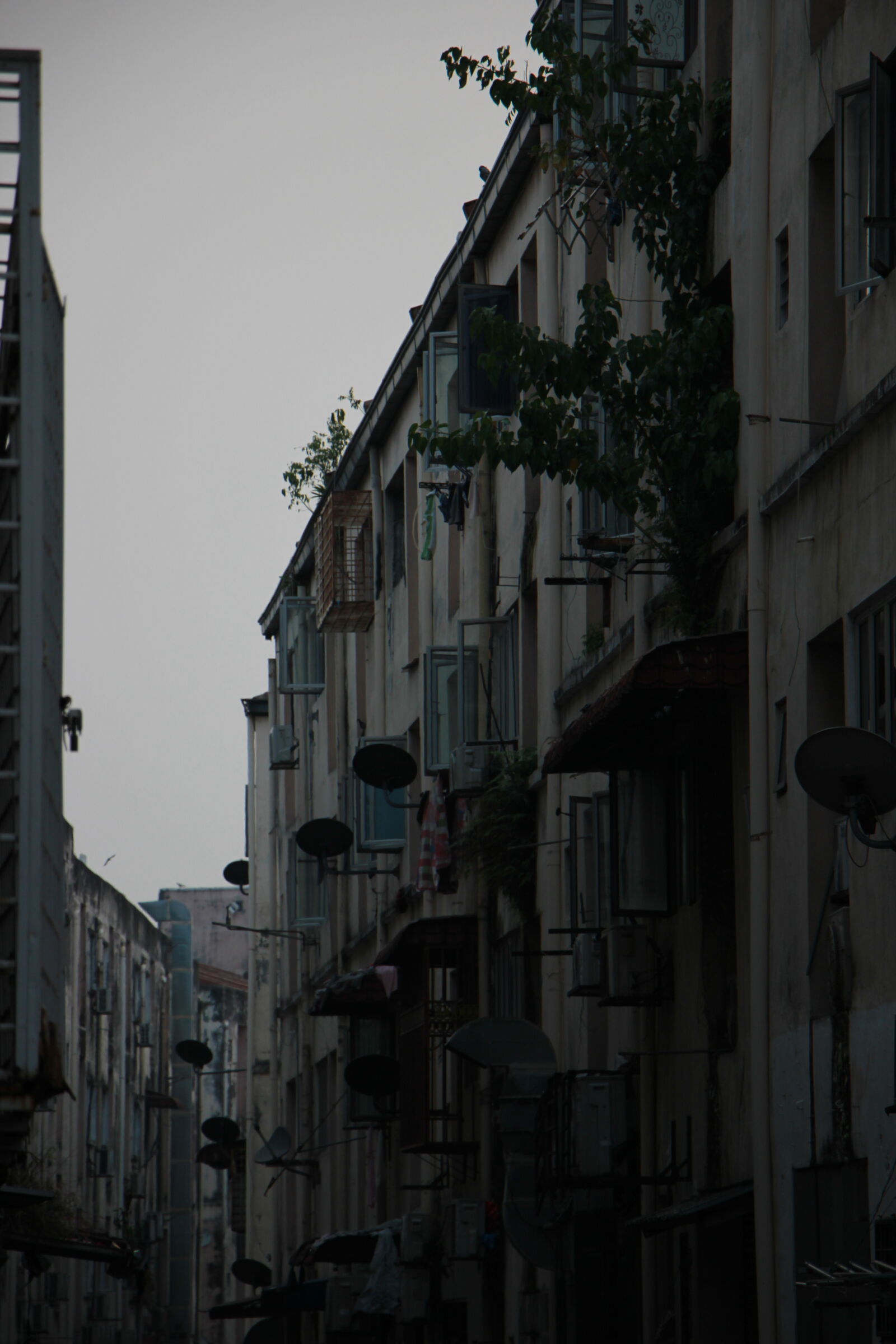 Canon EOS 600D (Rebel EOS T3i / EOS Kiss X5) sample photo. Back alley photography