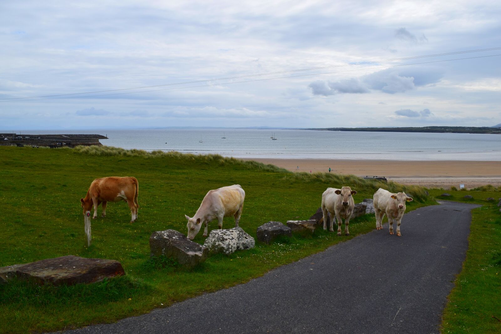 Nikon D5300 sample photo. Ireland, sea, sky photography