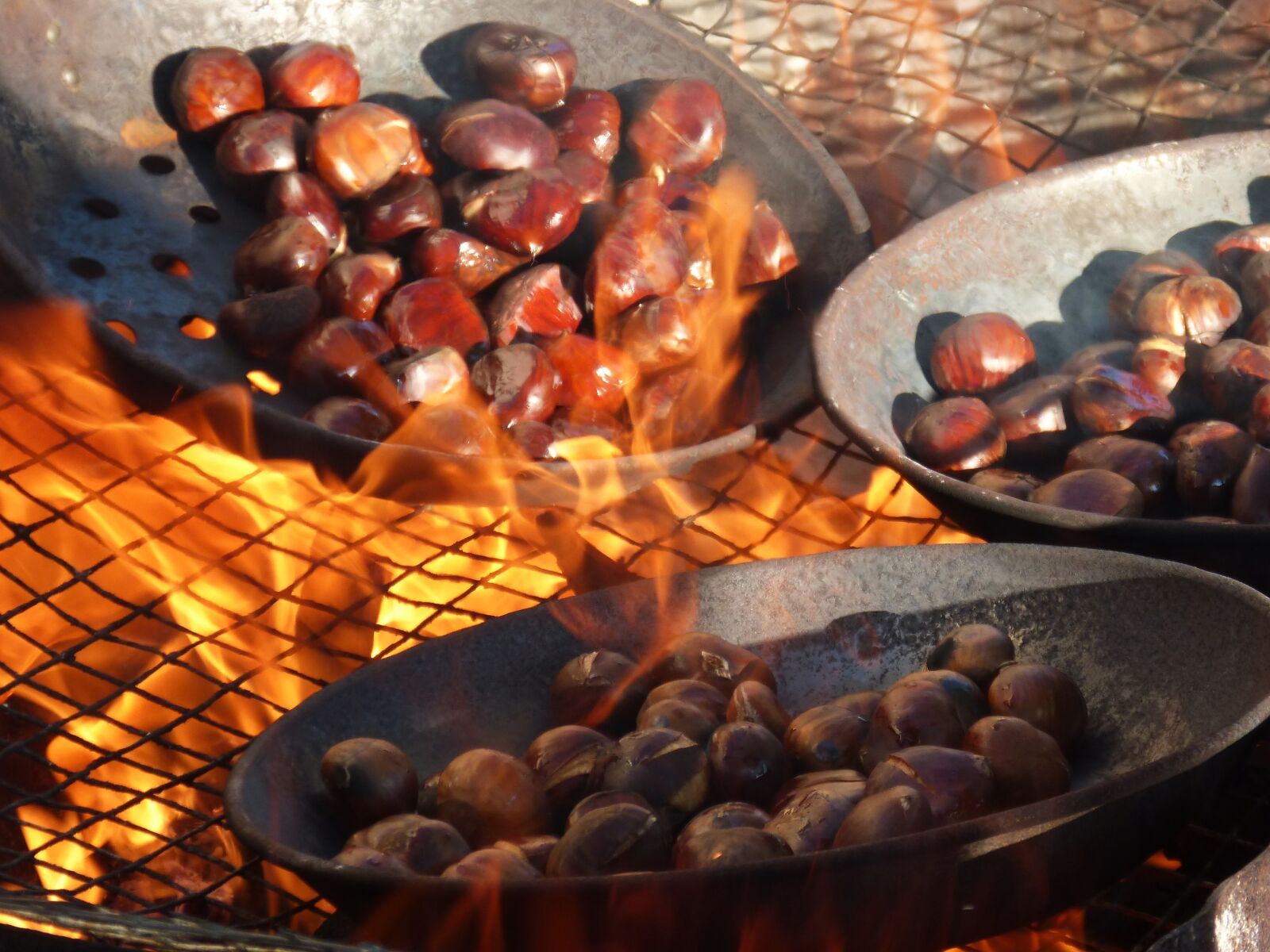 Panasonic DMC-FZ62 sample photo. Chestnuts, fire, roasted chestnuts photography