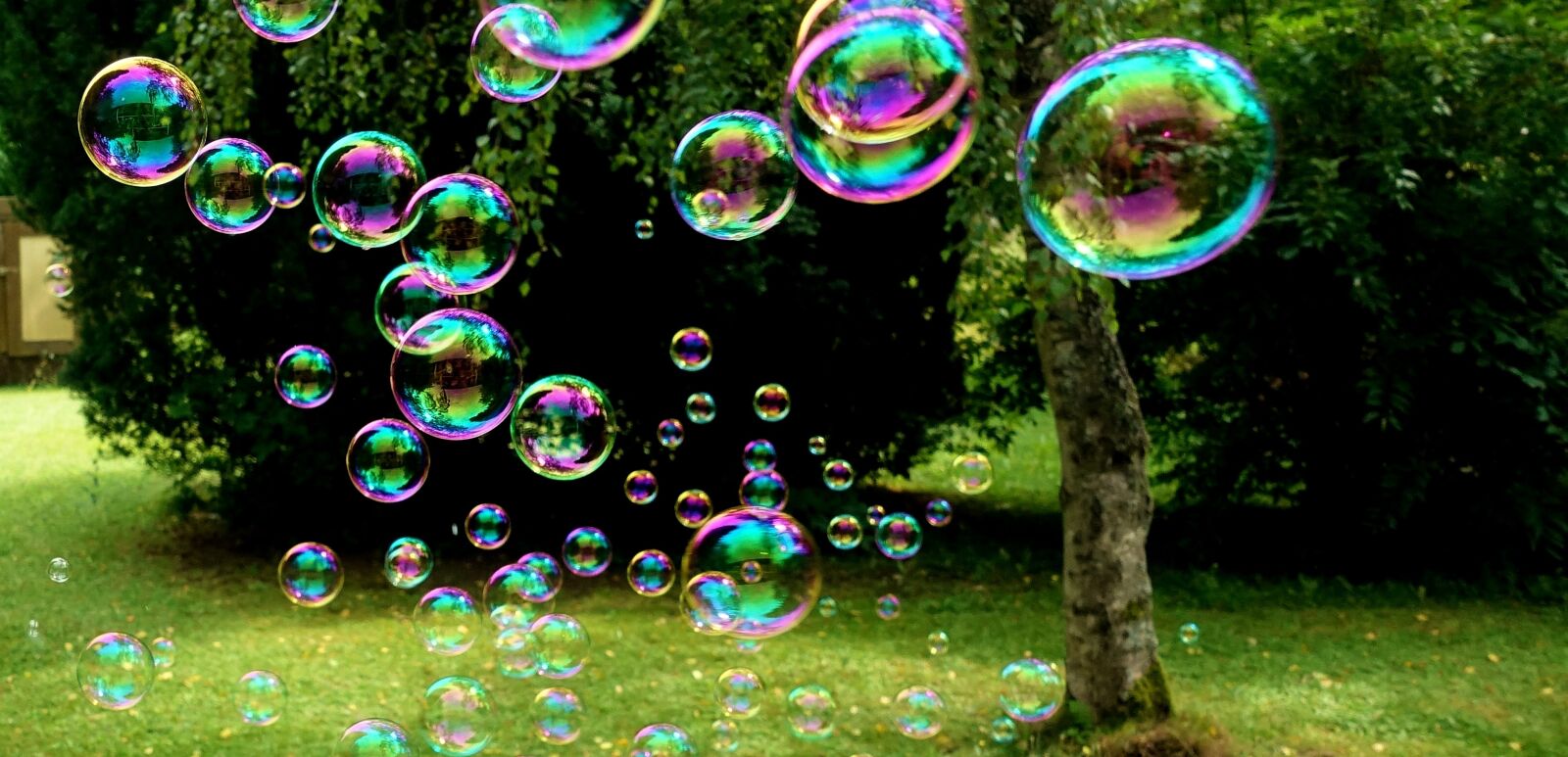 Sony DSC-RX100M5 sample photo. Soap bubbles, colorful, flying photography