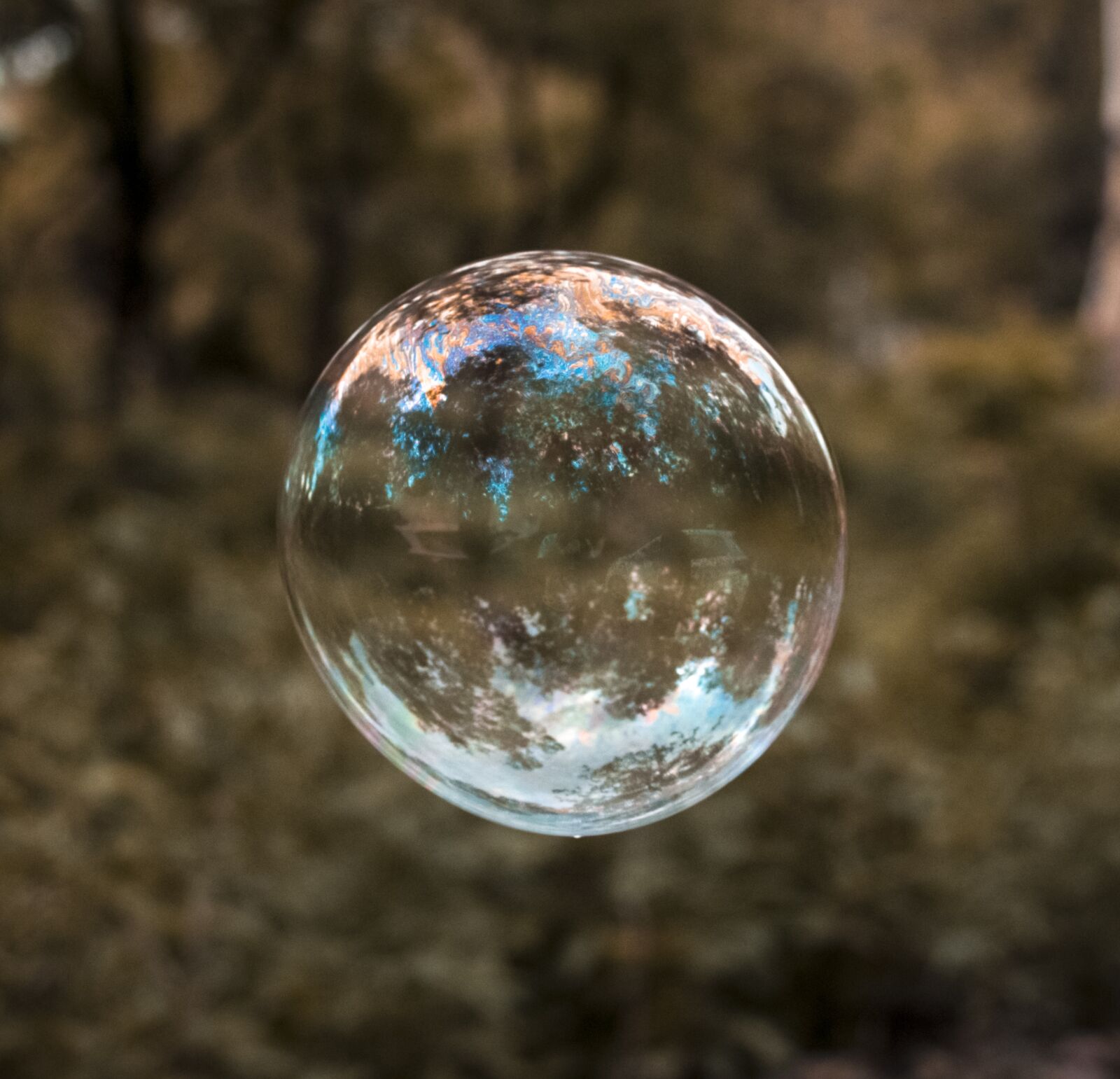 Nikon D3300 sample photo. Background, bubble, soap bubble photography