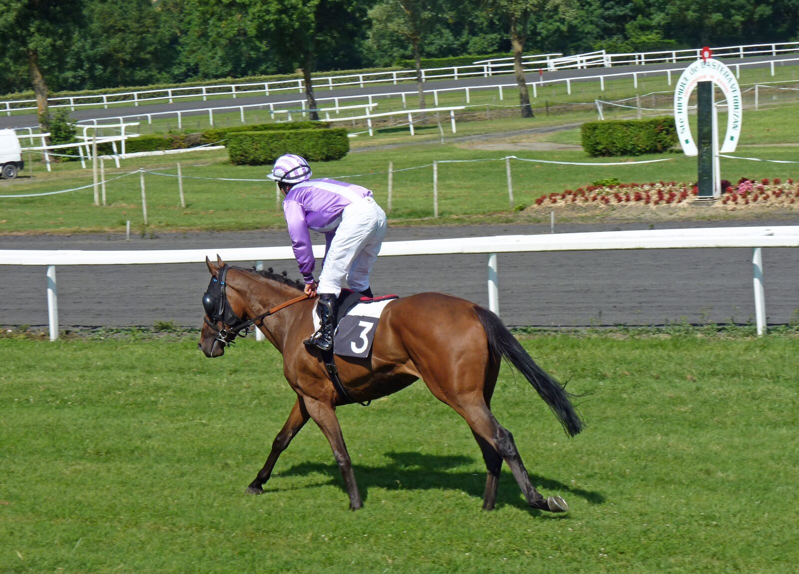 Panasonic Lumix DMC-FZ35 (Lumix DMC-FZ38) sample photo. Hippodrome, horses, racing photography