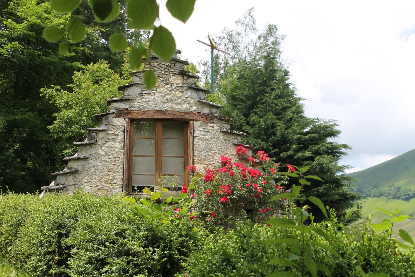 Canon EOS 1100D (EOS Rebel T3 / EOS Kiss X50) sample photo. House, flowers, nature photography