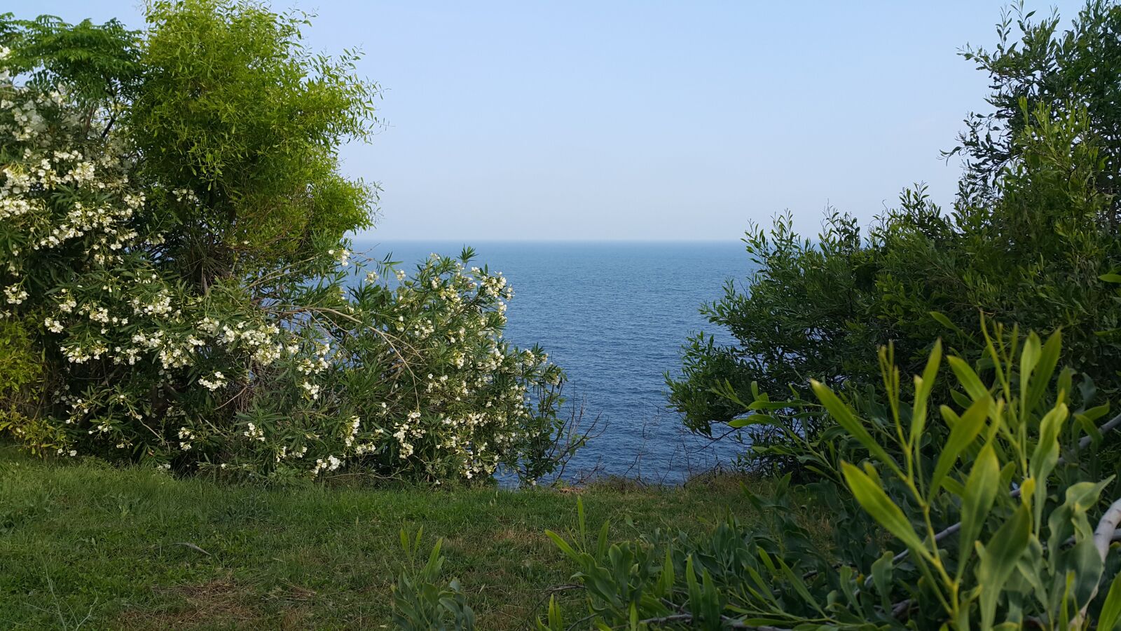 Samsung Galaxy Note4 sample photo. Green, marine, antalya photography