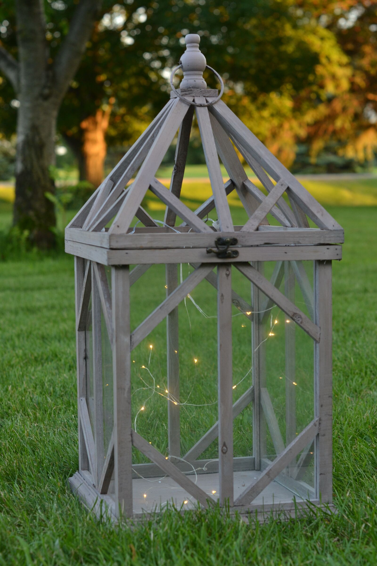 Nikon D3100 sample photo. Fairy lights, lantern, summer photography
