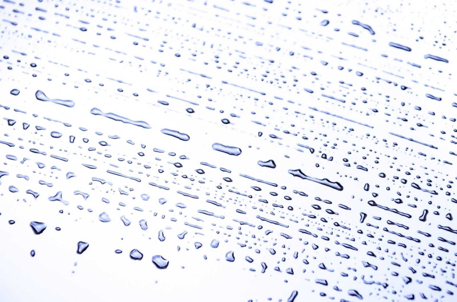 Nikon D5100 sample photo. Abstract, background, condensation, creative photography