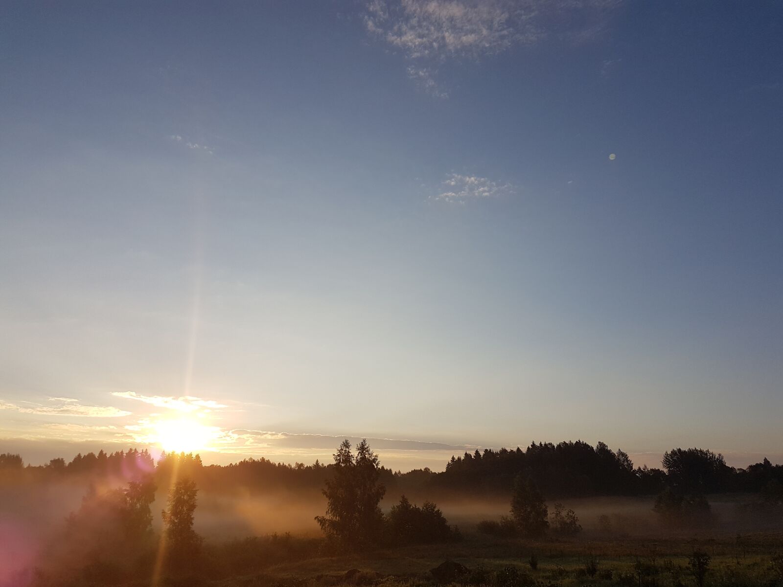 Samsung Galaxy S7 sample photo. Nature, morning, sunshine photography