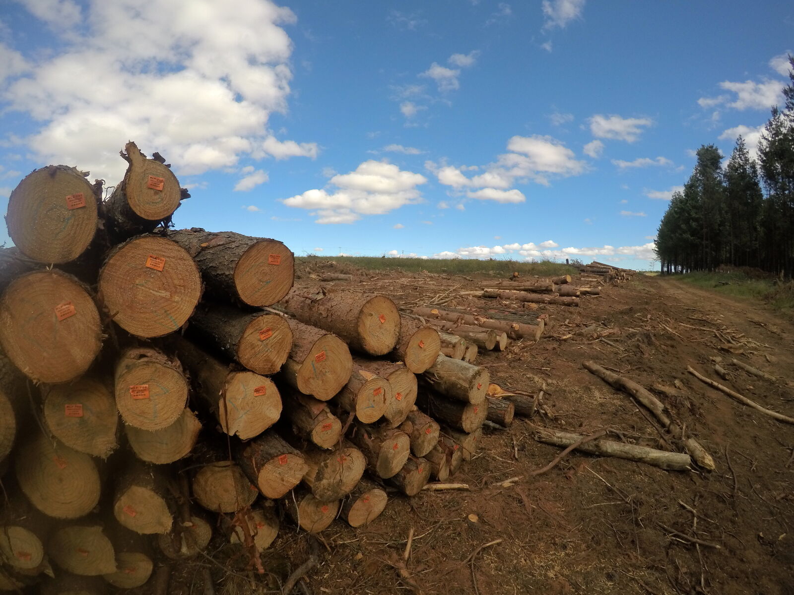 GoPro Hero5 Black sample photo. Blue, sky, circle, circles photography