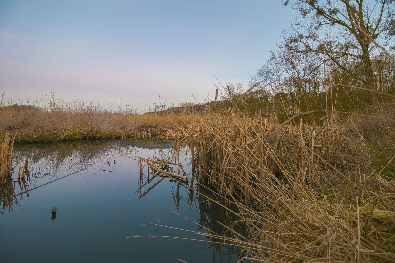 Canon EOS 70D + Canon EF-S 10-18mm F4.5–5.6 IS STM sample photo. Lake, winter, cane photography