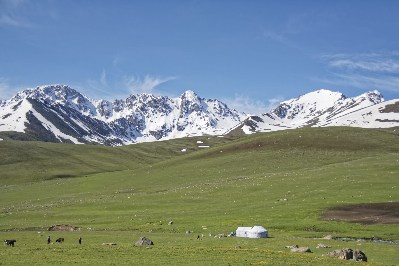 Nikon D500 sample photo. Kyrgyzstan, alabel pass, pass photography