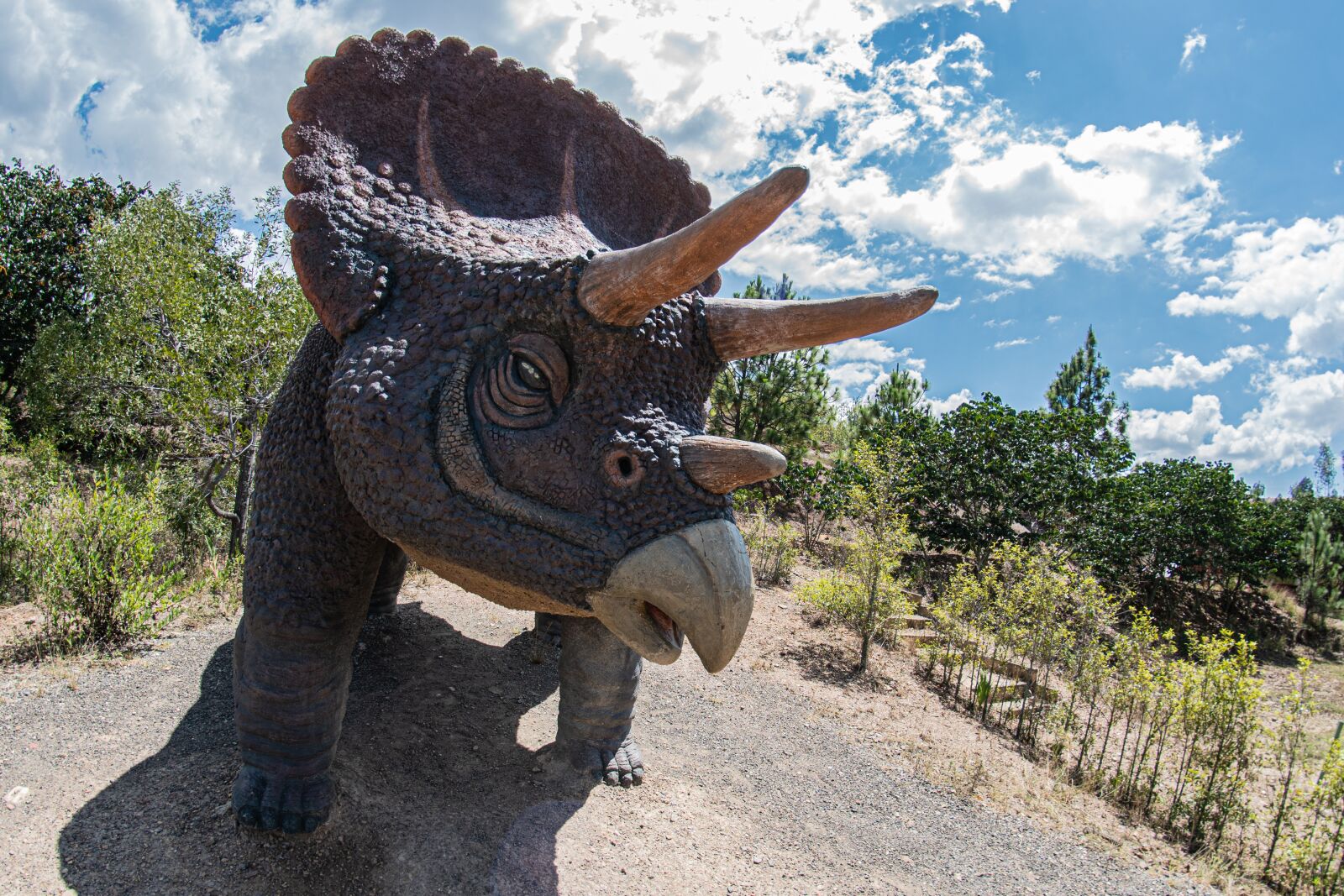 Nikon D5600 sample photo. Gondava, park, dinosaurs photography