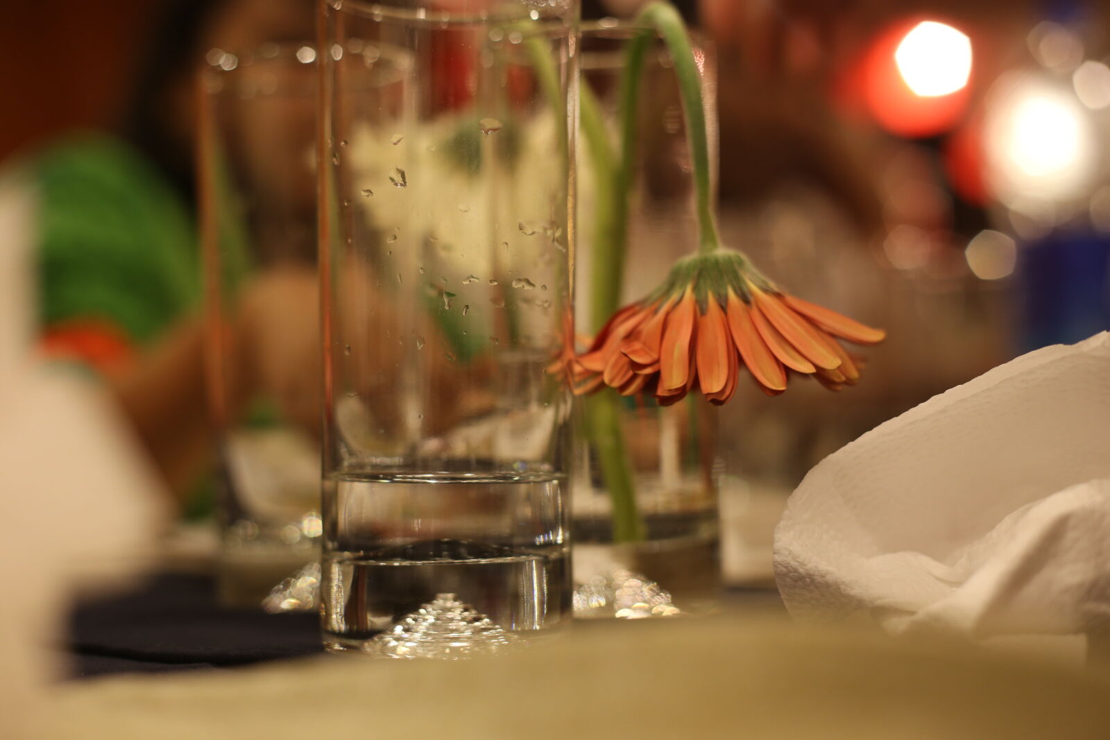 Canon EF 50mm F1.8 II sample photo