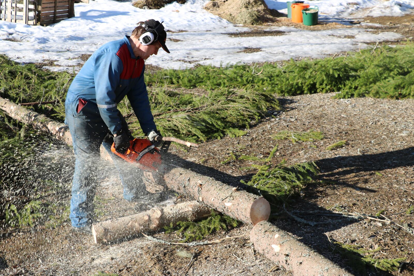 Canon EOS 750D (EOS Rebel T6i / EOS Kiss X8i) sample photo. Nature, logger, chainsaw photography