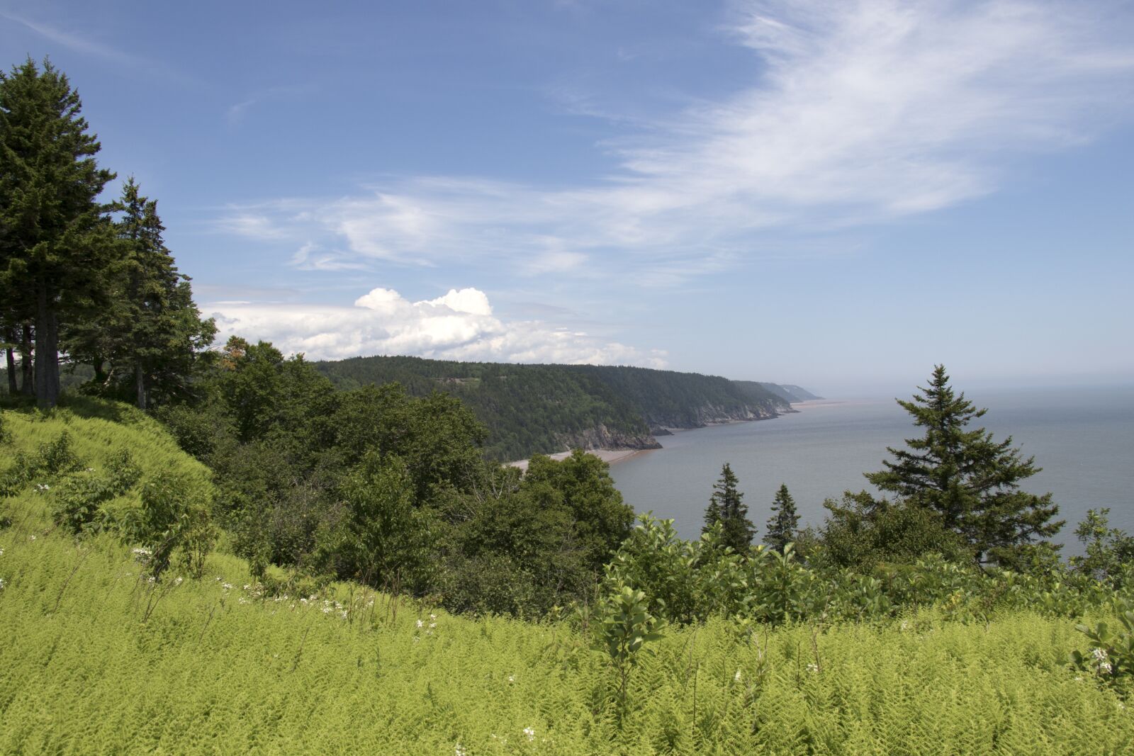 Canon EOS 7D Mark II sample photo. Fundy coast, new brunswick photography