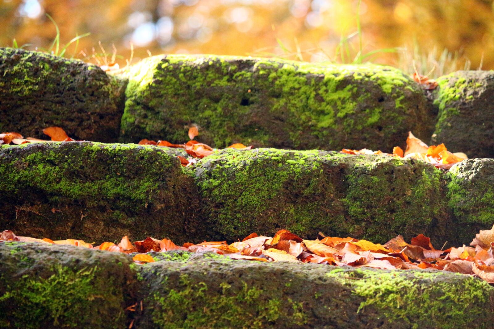 Canon EOS 100D (EOS Rebel SL1 / EOS Kiss X7) sample photo. Gradually, stone, stairs photography