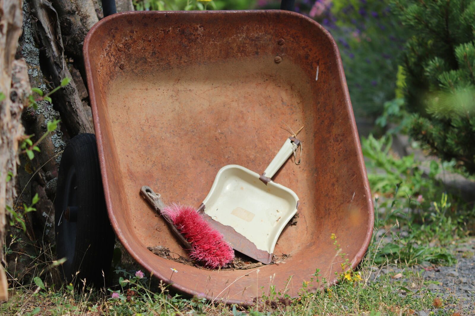 Canon EOS 200D (EOS Rebel SL2 / EOS Kiss X9) sample photo. Gardening, wheelbarrows, blade photography