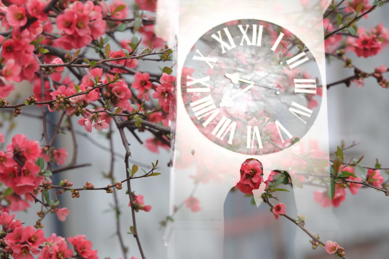 Canon EOS 5D Mark III sample photo. Analog clock, bride, groom photography