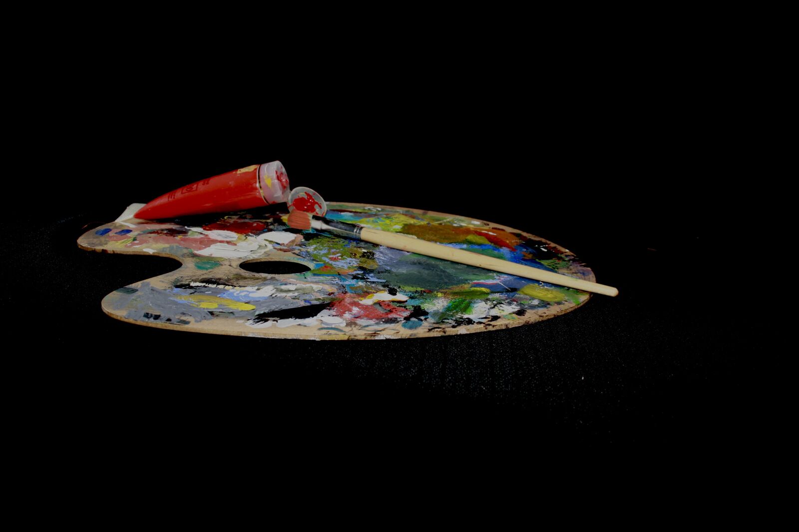 Canon EOS 1000D (EOS Digital Rebel XS / EOS Kiss F) sample photo. Range, color, brush photography