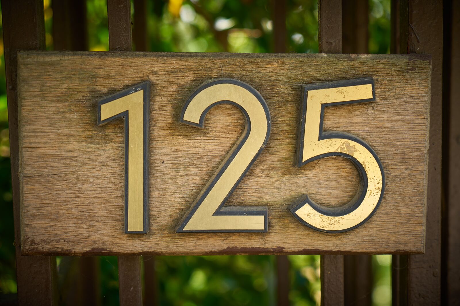Sony a7R II sample photo. Figure, door, number photography