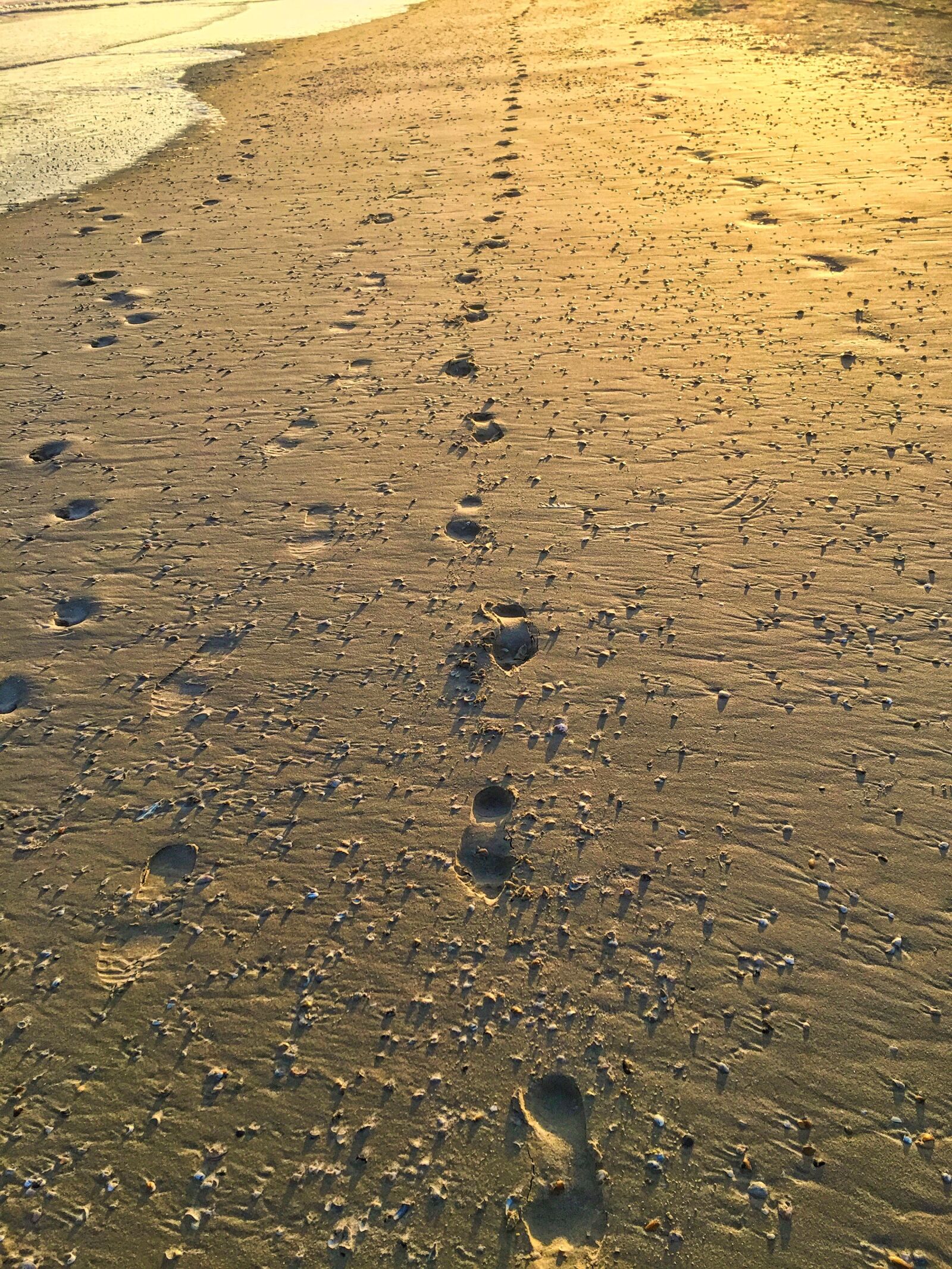iPhone 6 back camera 4.15mm f/2.2 sample photo. Foot prints, beach, barefoot photography