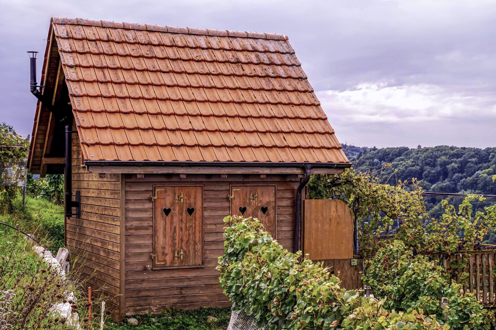 Sony DT 18-135mm F3.5-5.6 SAM sample photo. Vineyard cottages, wine region photography