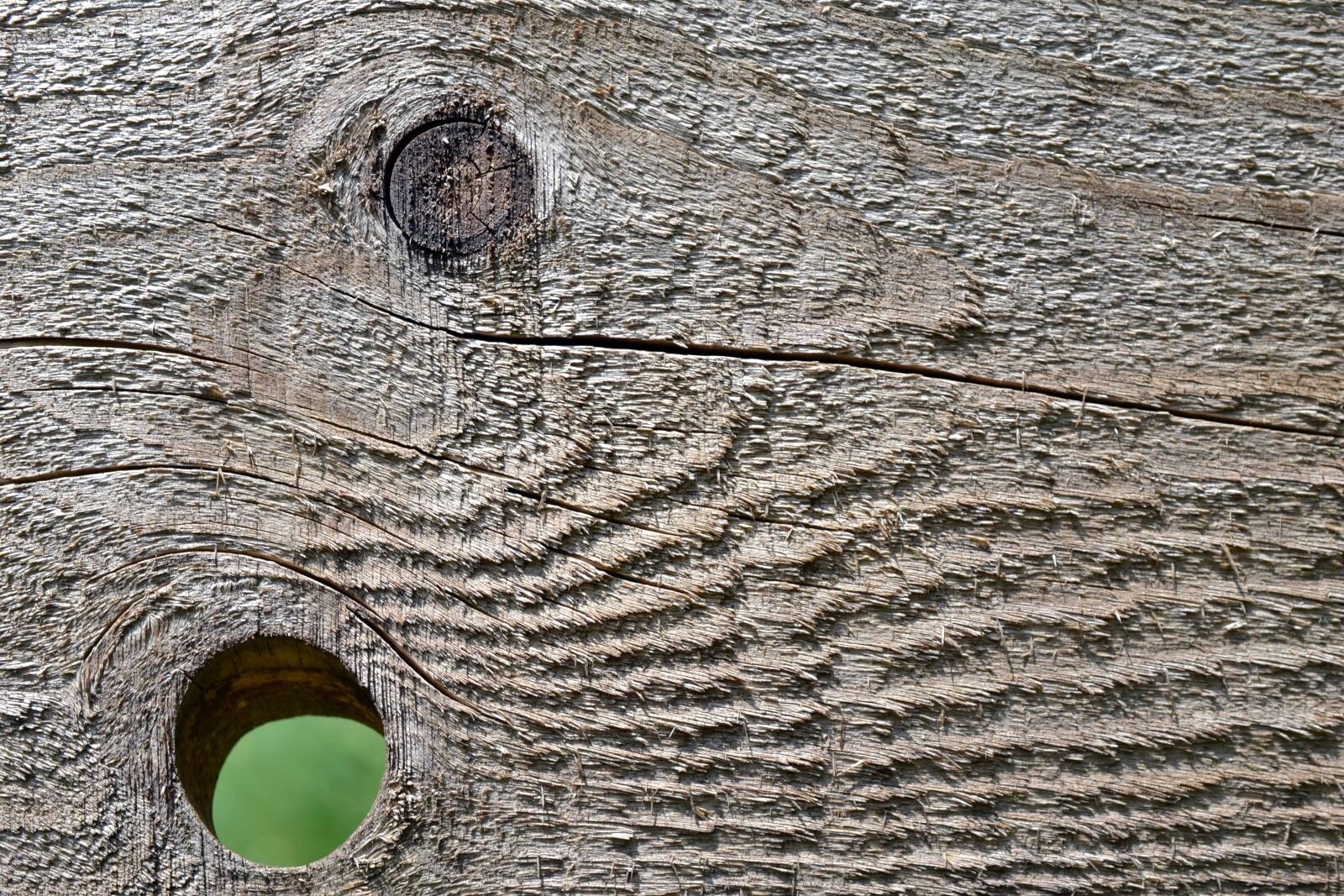 Nikon D3100 sample photo. Wood knot, nature, material photography