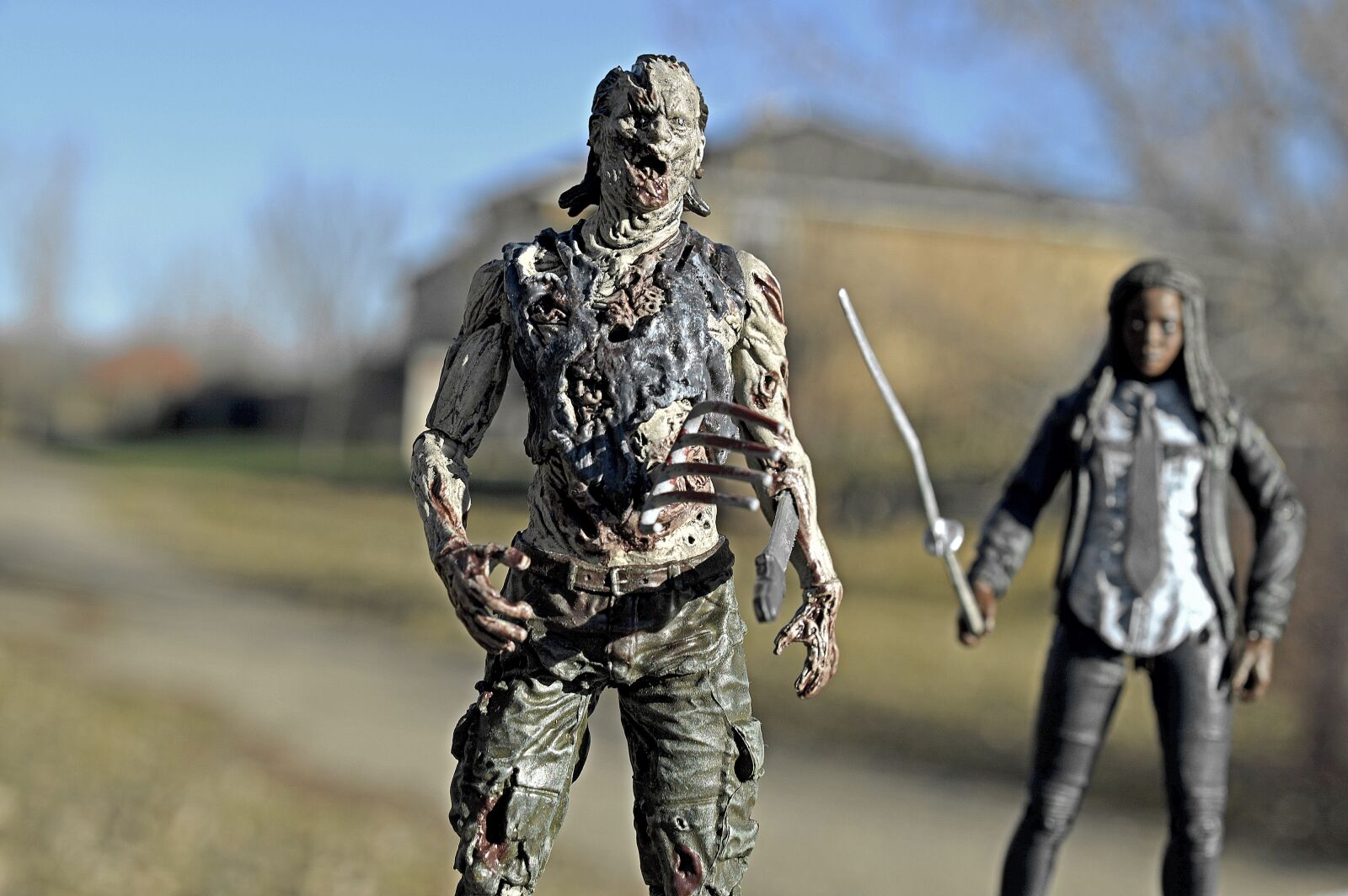 Nikon D3200 sample photo. Zombie, walking dead, michonne photography