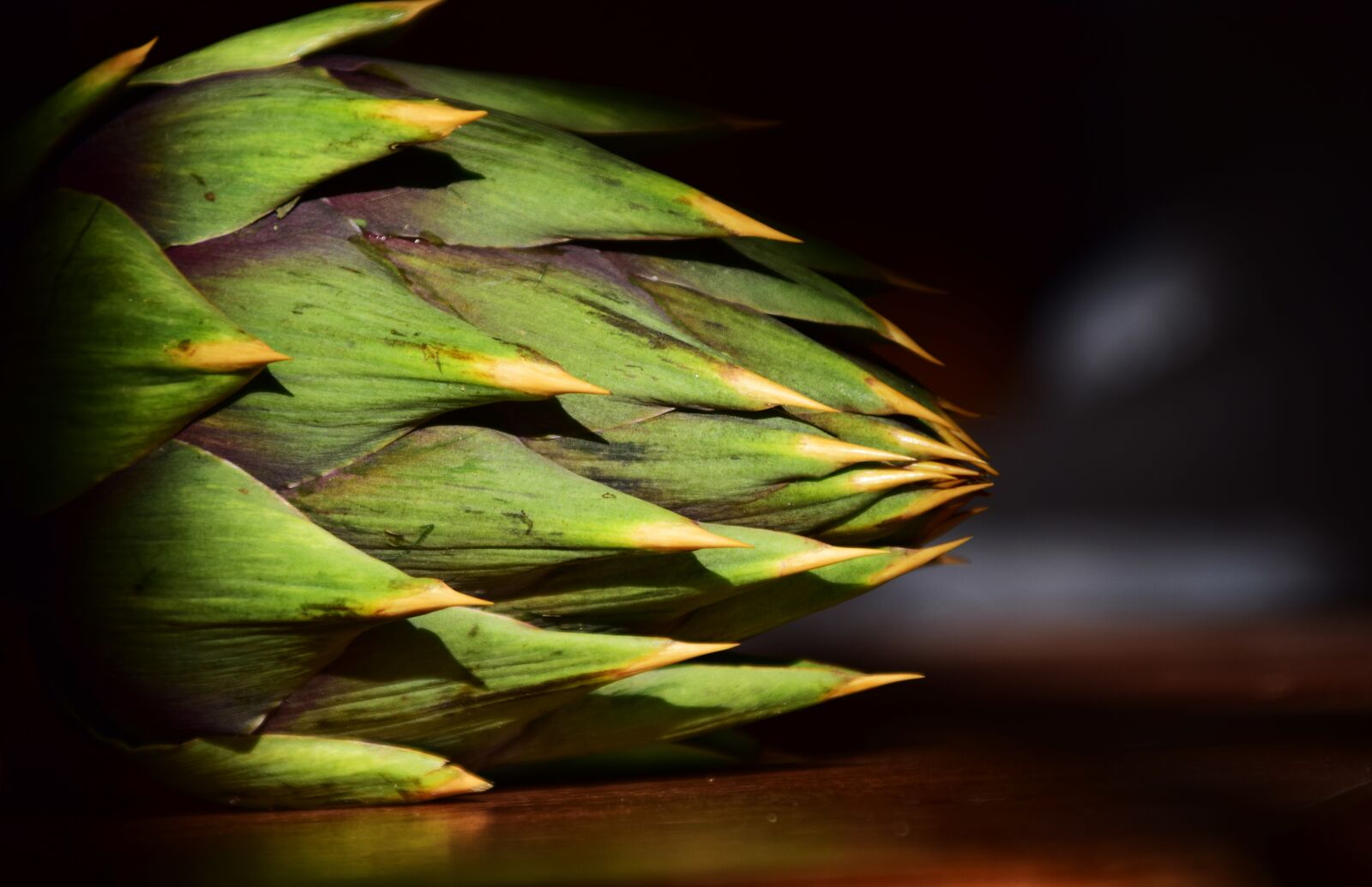 Nikon D3300 sample photo. Artichoke, spur, pointed photography