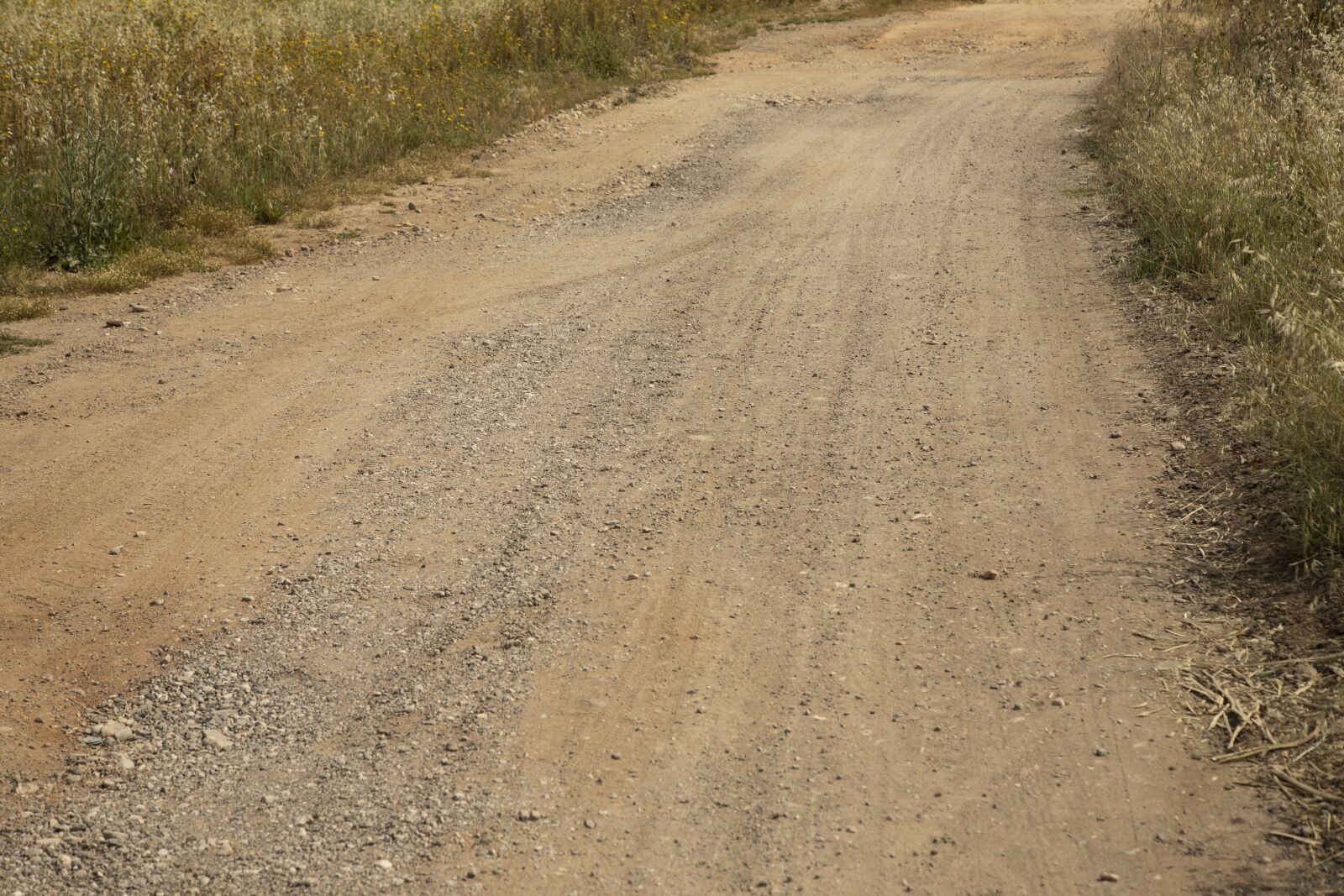 Canon EF 24-105mm F4L IS USM sample photo. Terry, road, path photography