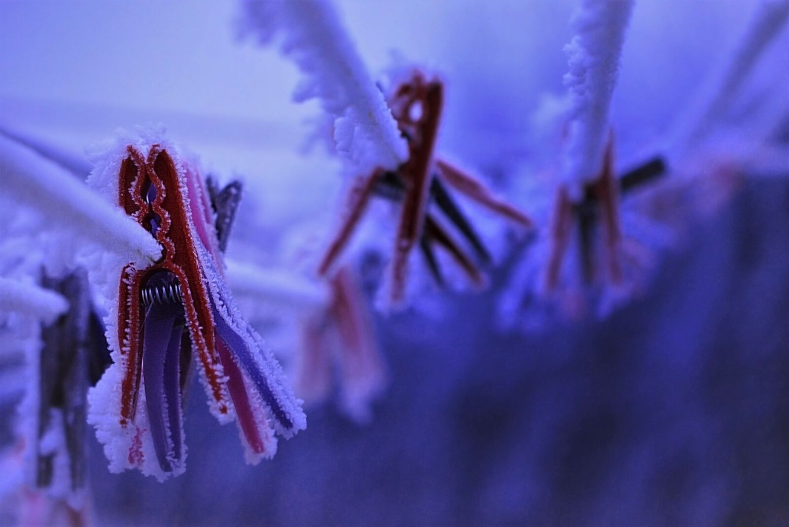 Nikon D5200 sample photo. Funny, winter, frost photography