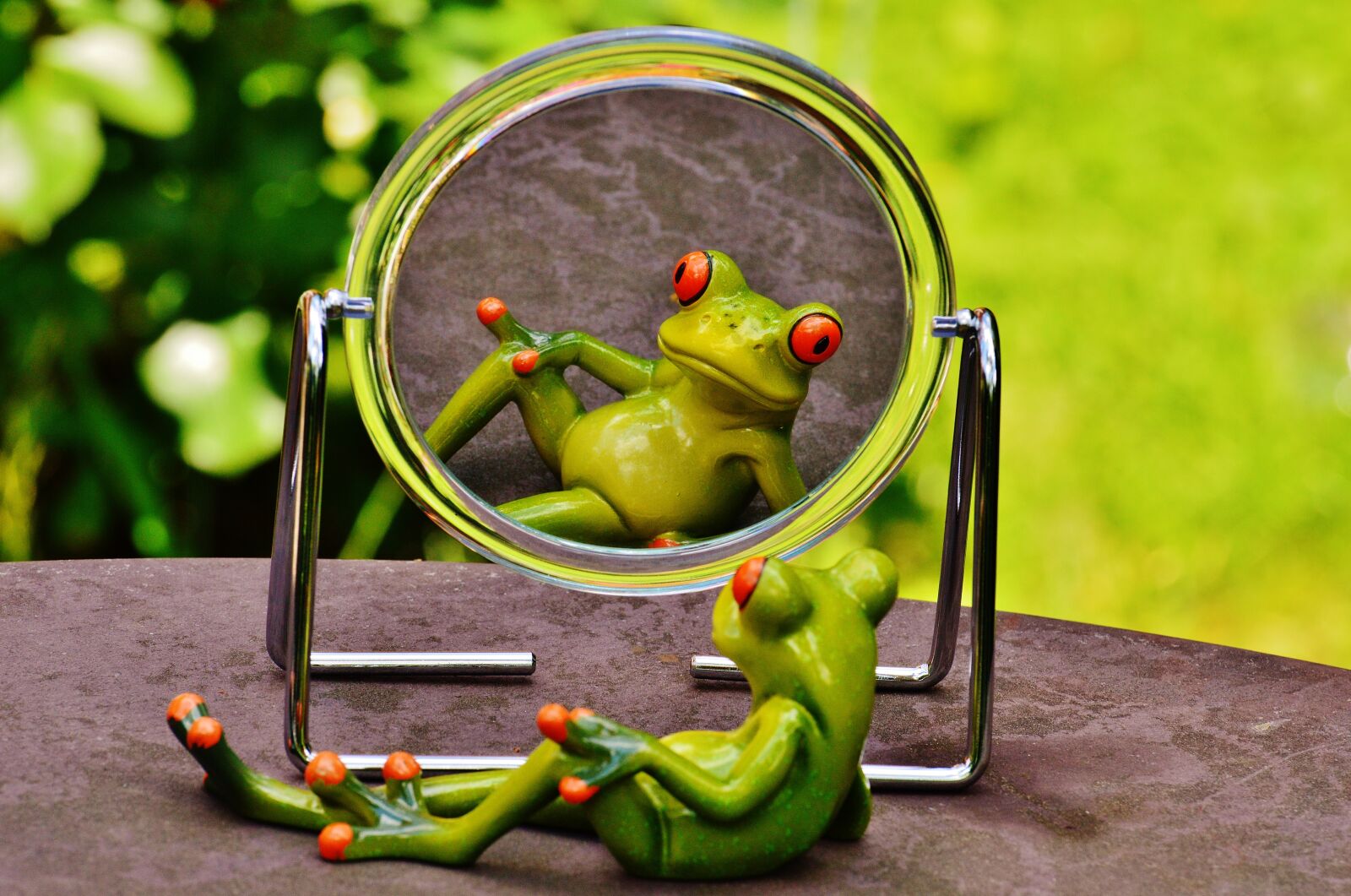 Nikon D3200 sample photo. Frog, mirror, mirror image photography