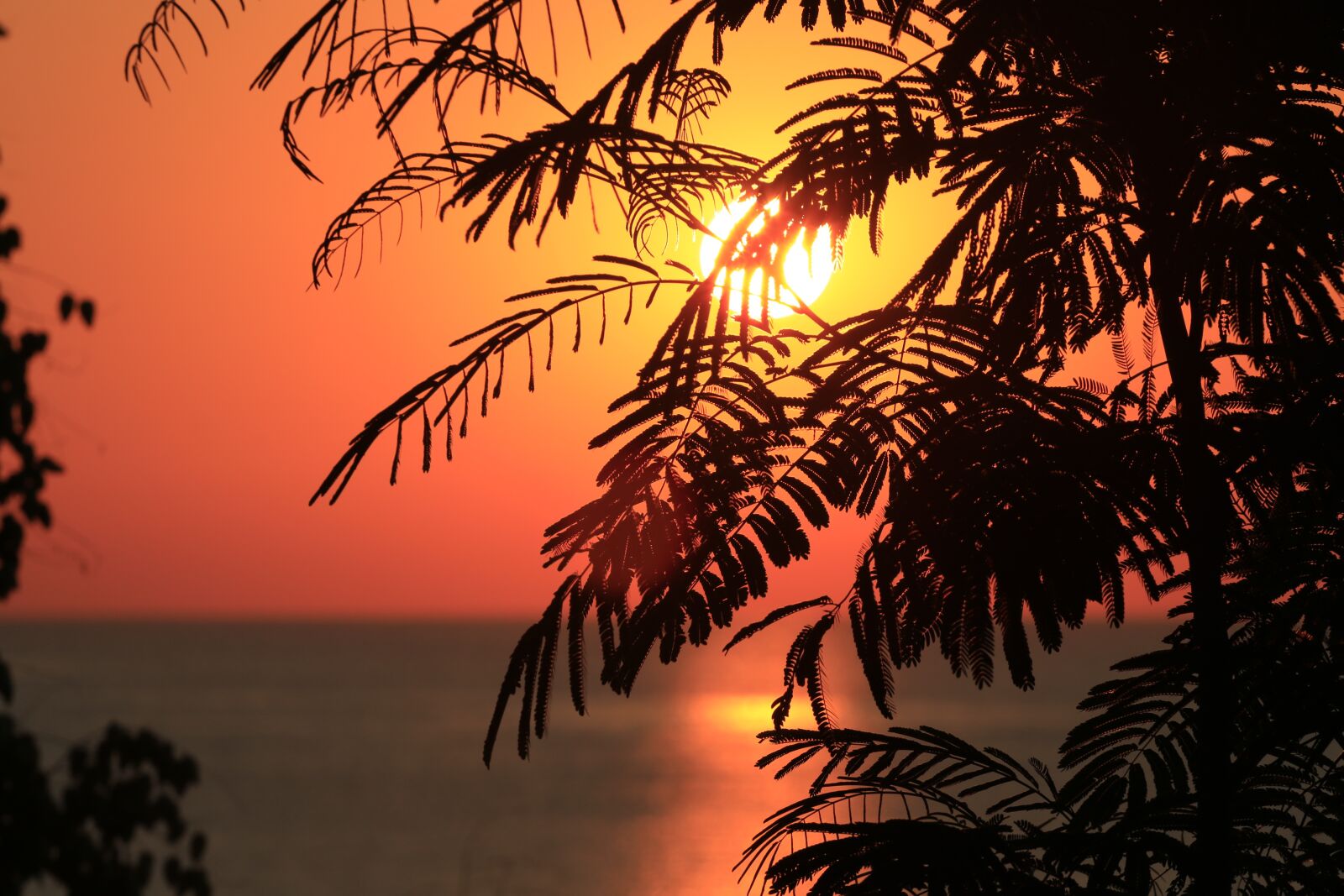 Canon EOS 70D sample photo. Black sea, summer, sun photography