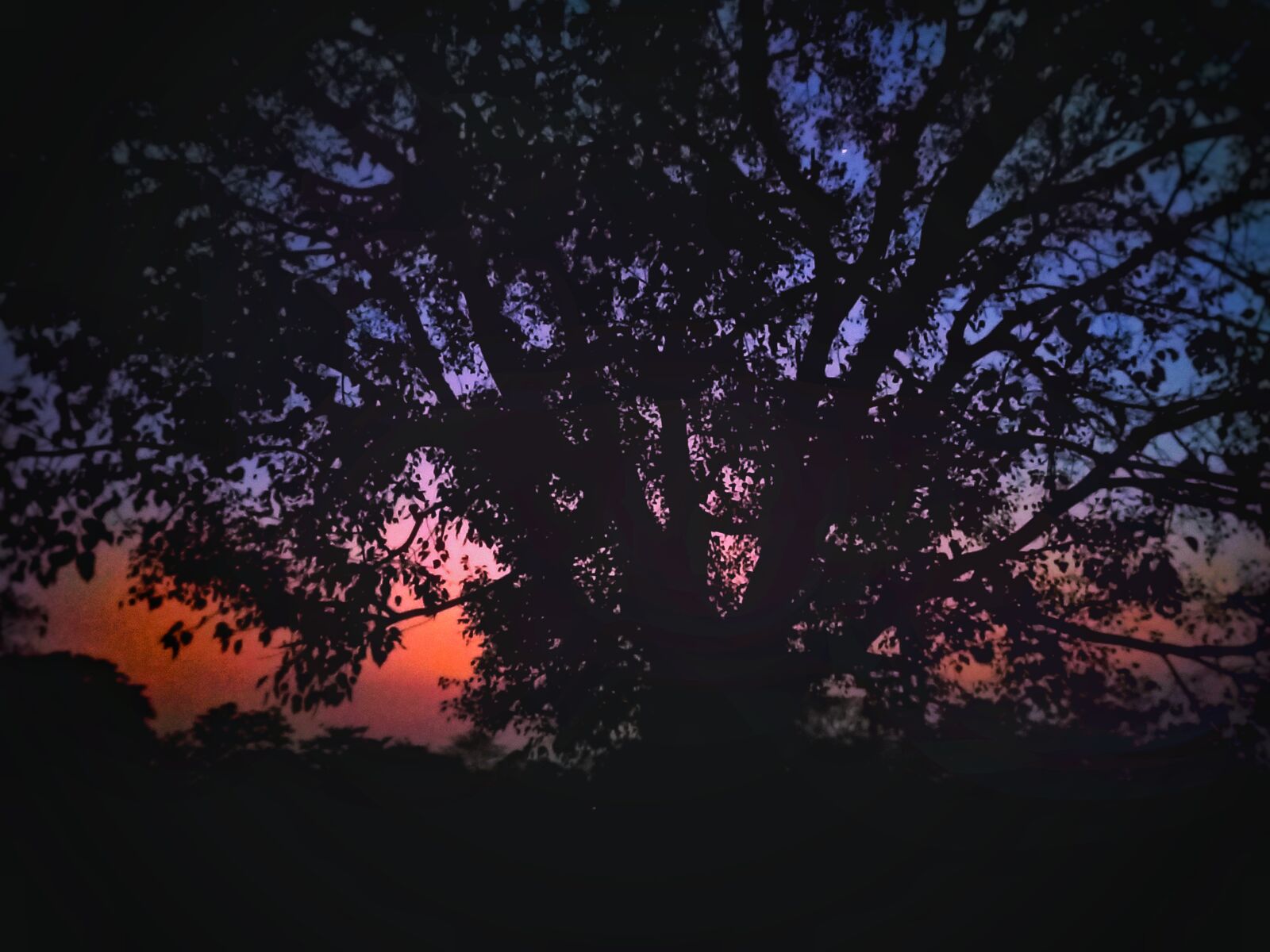 Xiaomi Redmi Note 8 Pro sample photo