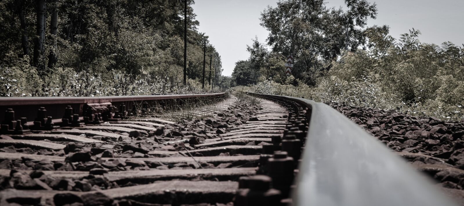 Nikon D3200 sample photo. Rail, steel, trees photography