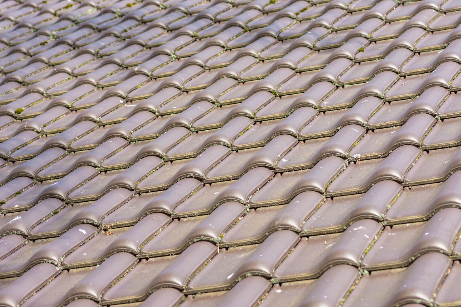 Nikon D7200 sample photo. Tile, ceramic, roof photography