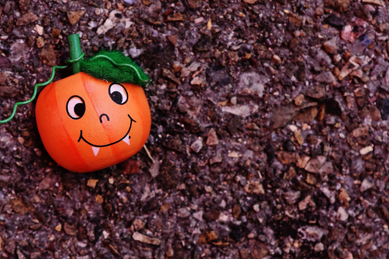 Nikon D7200 sample photo. Halloween, autumn, pumpkin photography