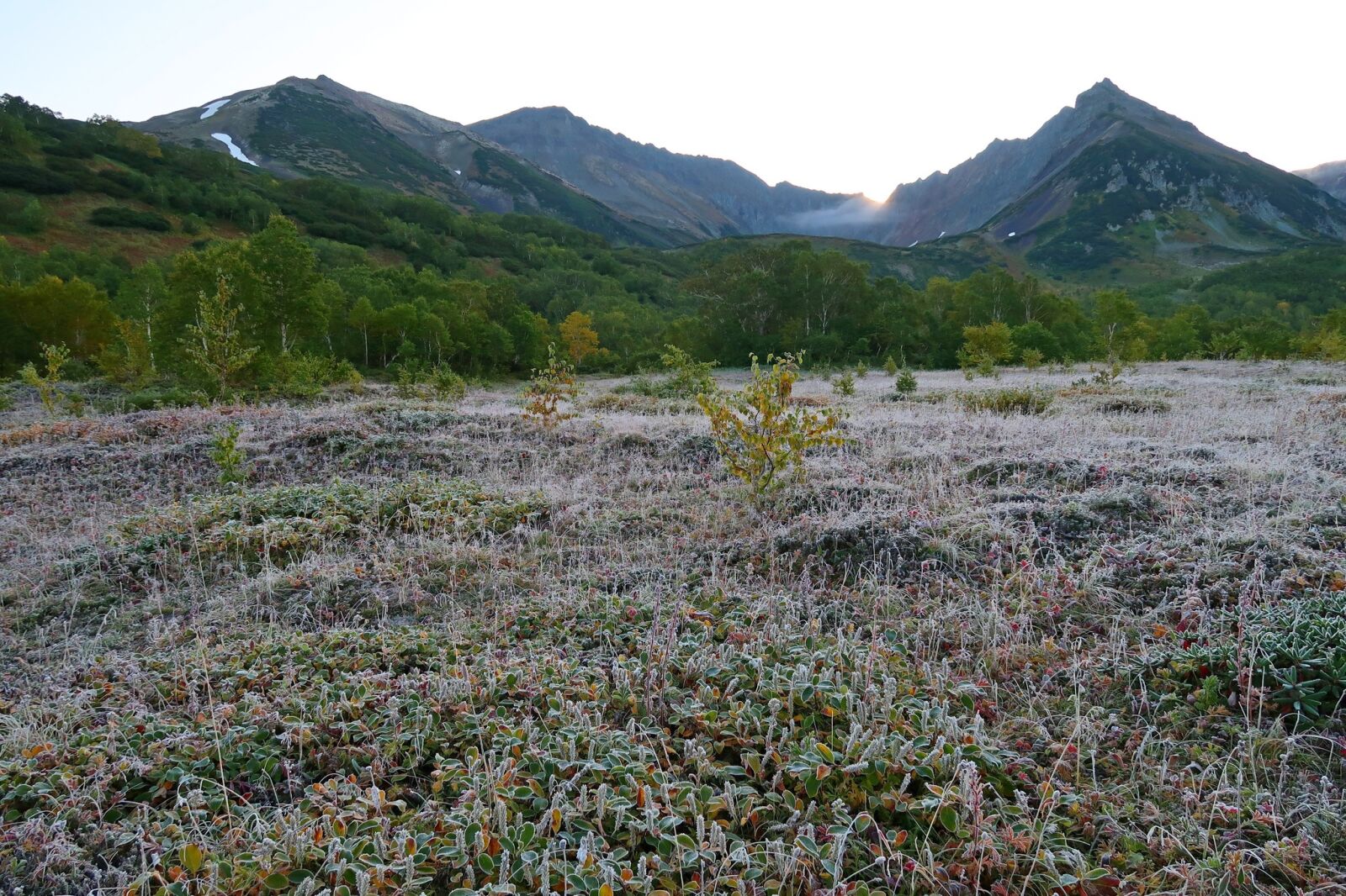 Canon PowerShot G7 X Mark II sample photo. The first frost, early photography