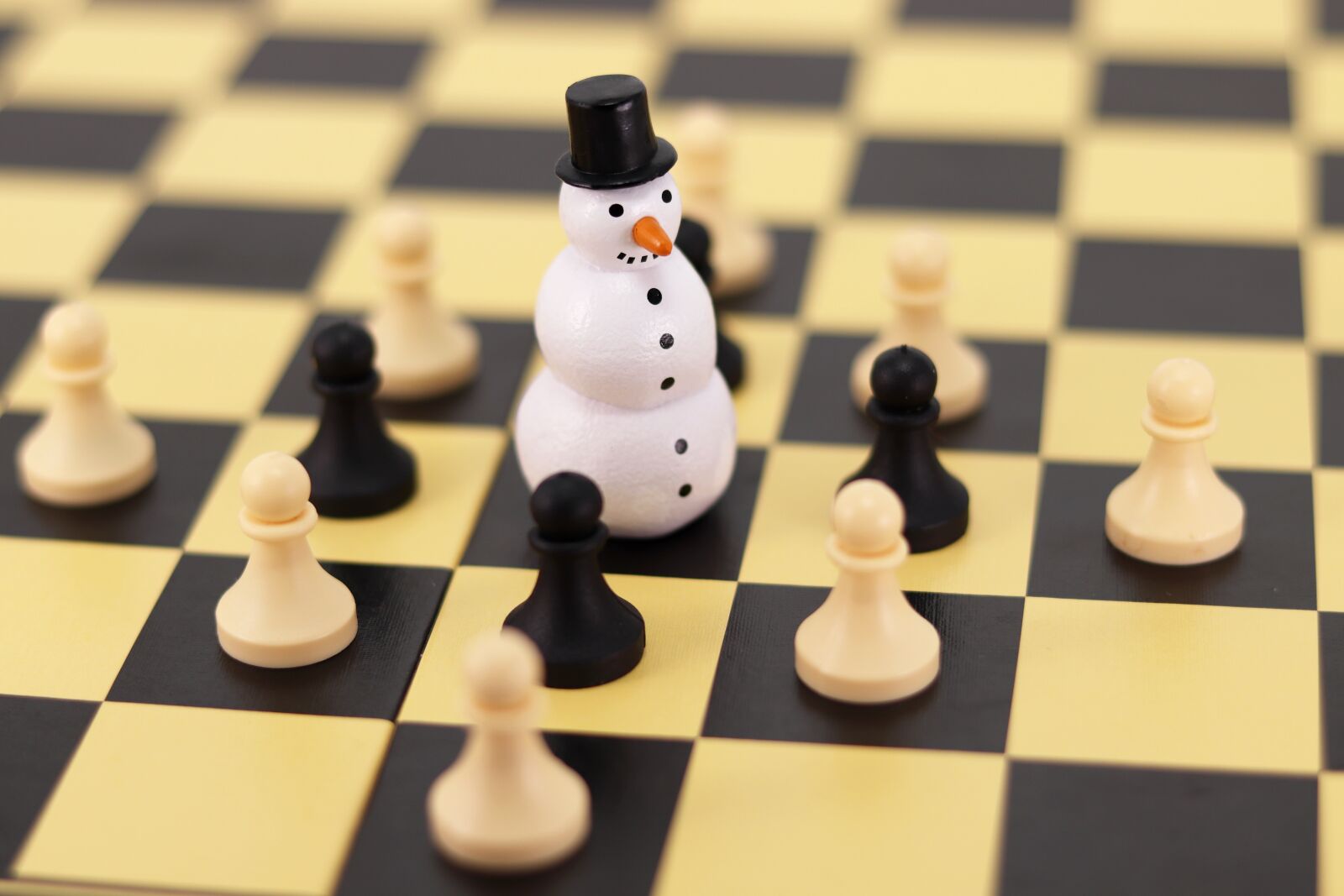 Canon EOS 800D (EOS Rebel T7i / EOS Kiss X9i) + Canon EF 50mm F1.8 STM sample photo. Snowman, chess, figure photography