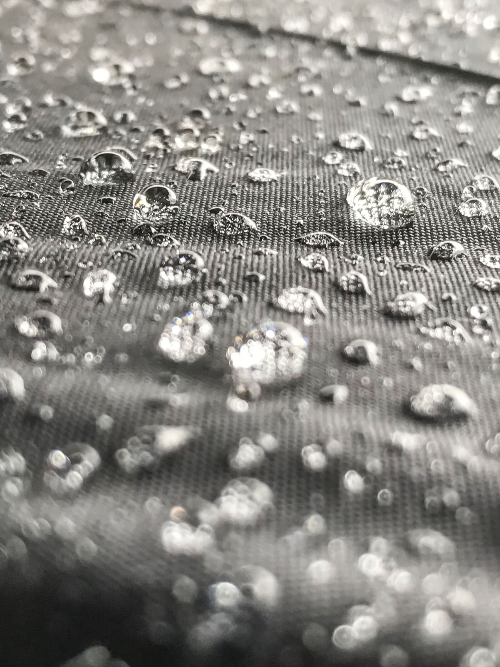 Apple iPhone 7 Plus sample photo. Umbrella, sunshade, drops photography