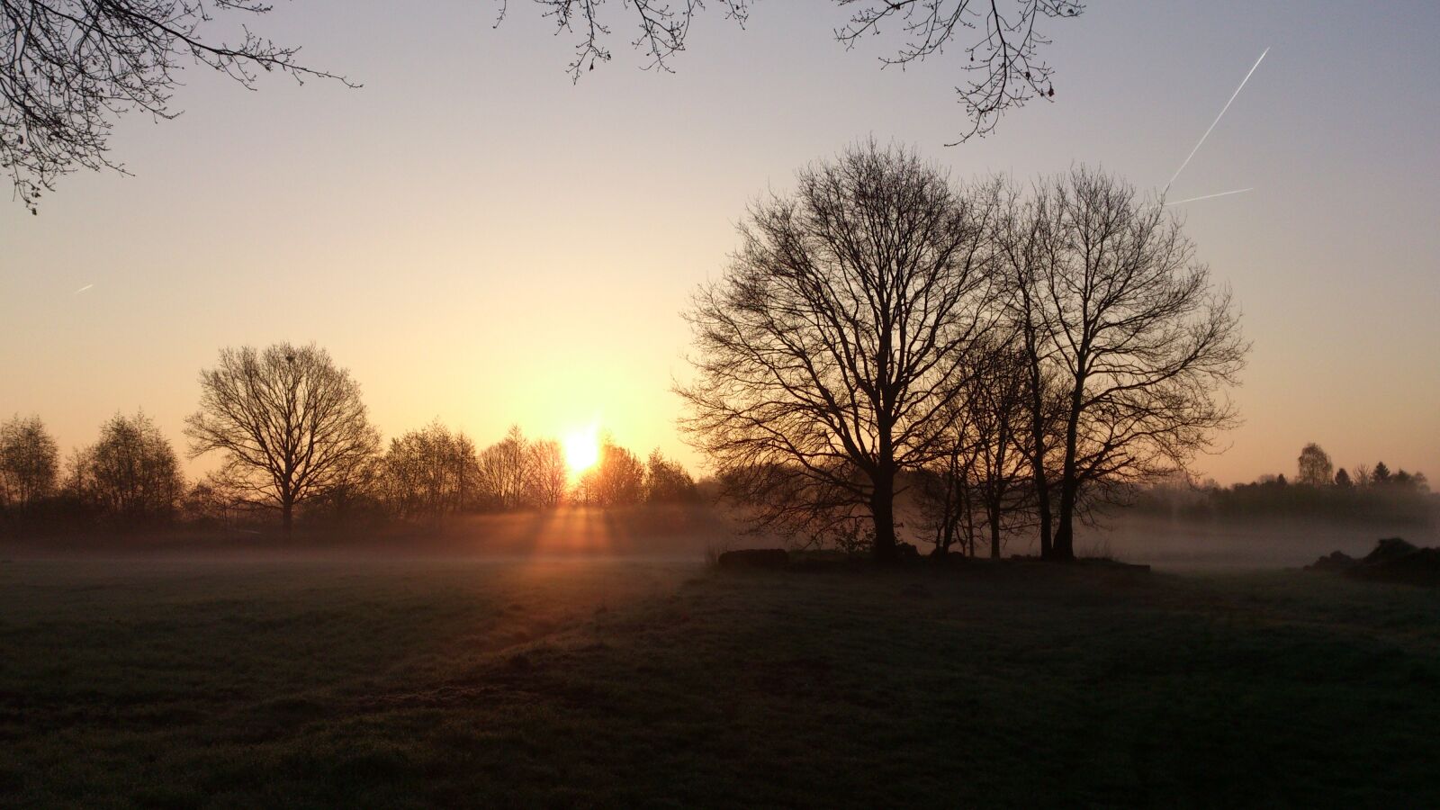 Sony Ericsson Xperia S sample photo. Sunrise, trees, morning photography