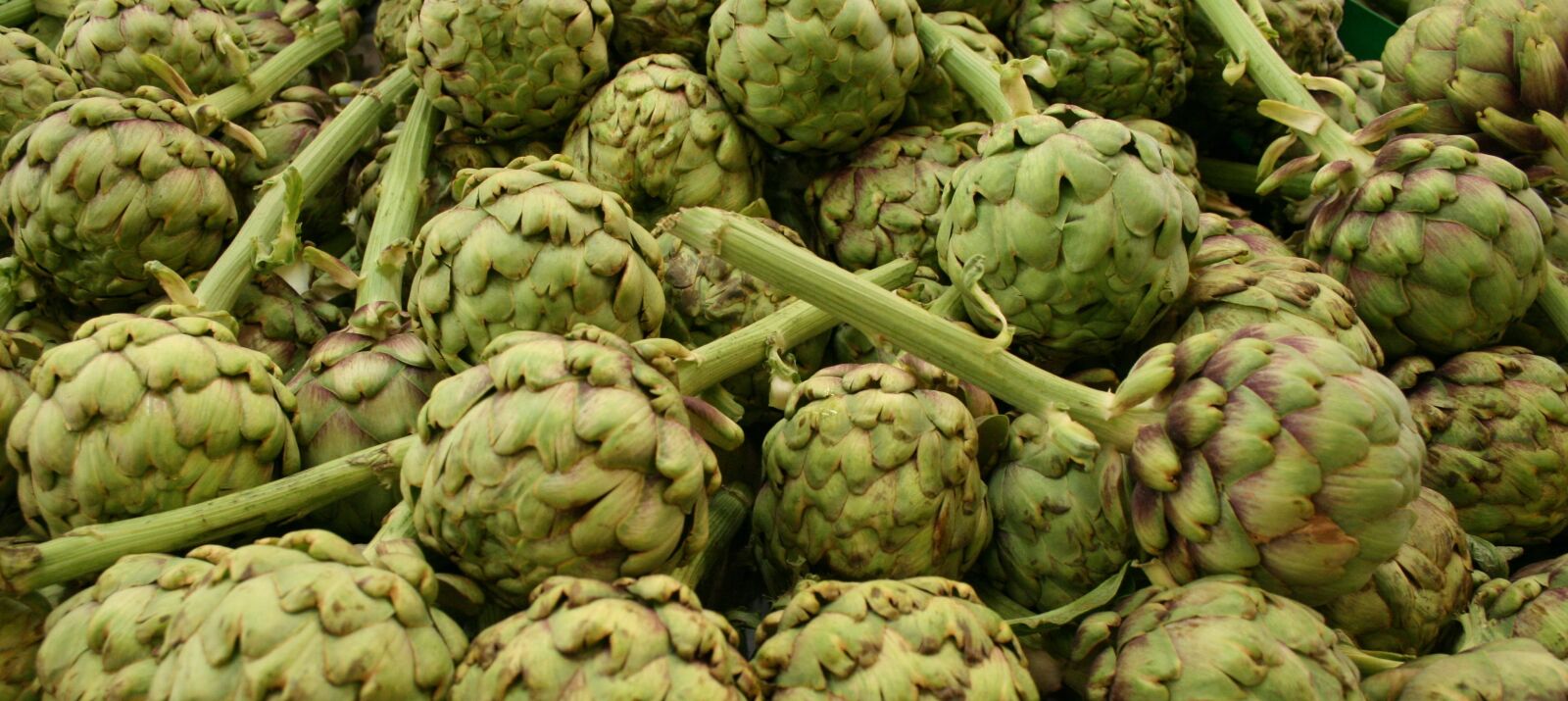 Canon EOS 400D (EOS Digital Rebel XTi / EOS Kiss Digital X) sample photo. Artichokes, vegetable, nature photography